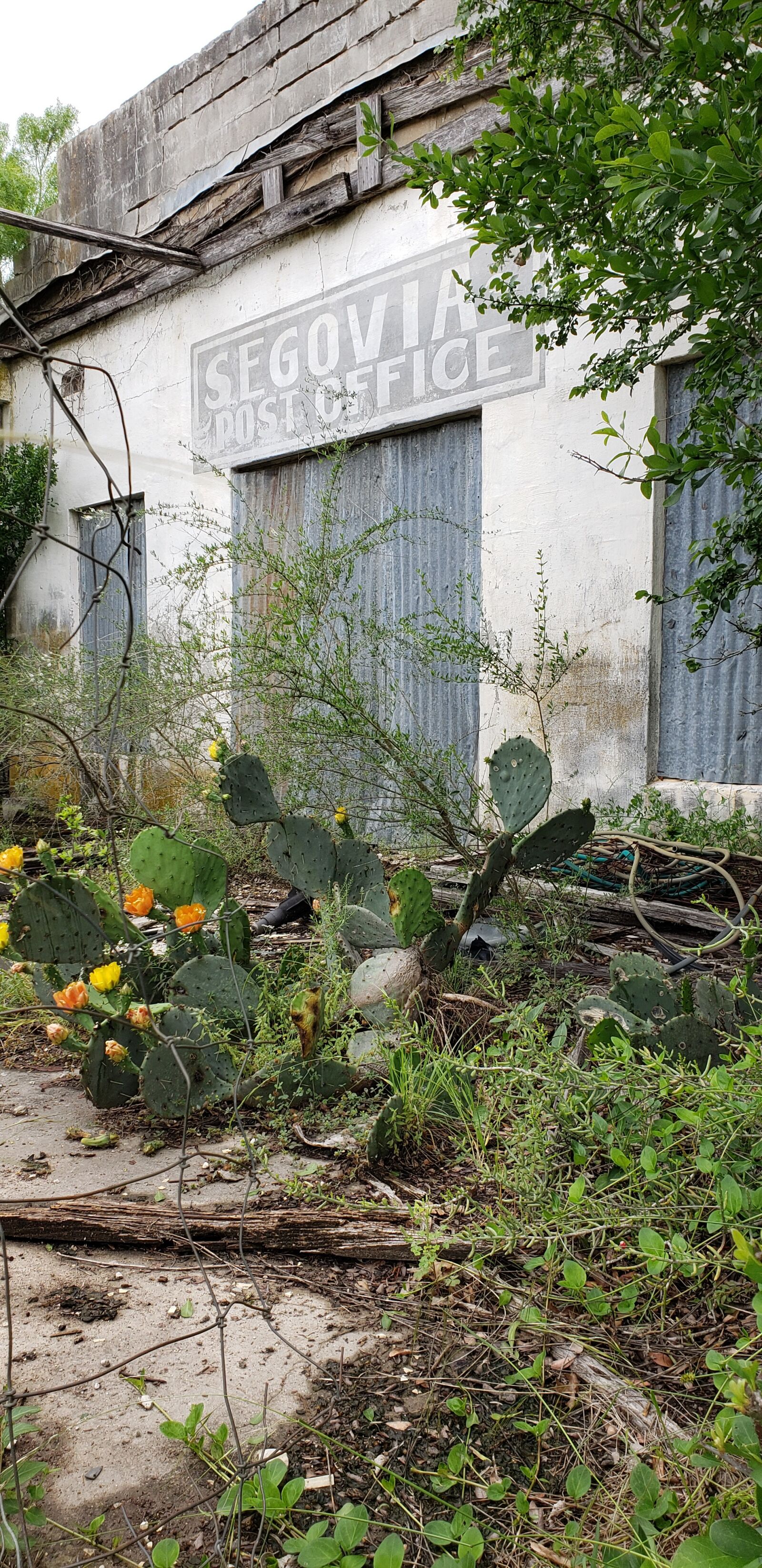 Samsung Galaxy S9 sample photo. Post office, texas, cactus photography