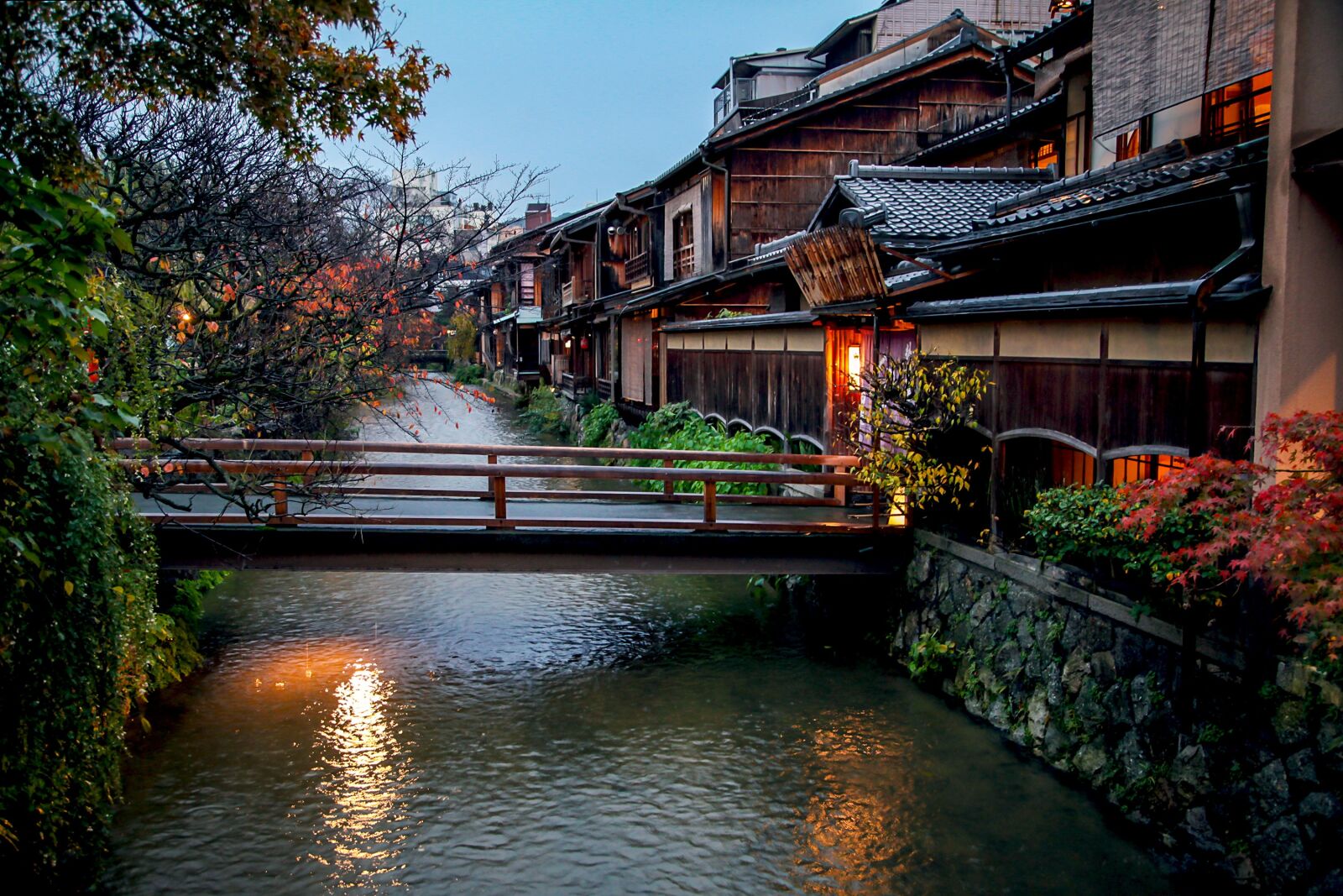 Canon EOS 5D Mark II sample photo. Kyoto, autumn, autumnal leaves photography