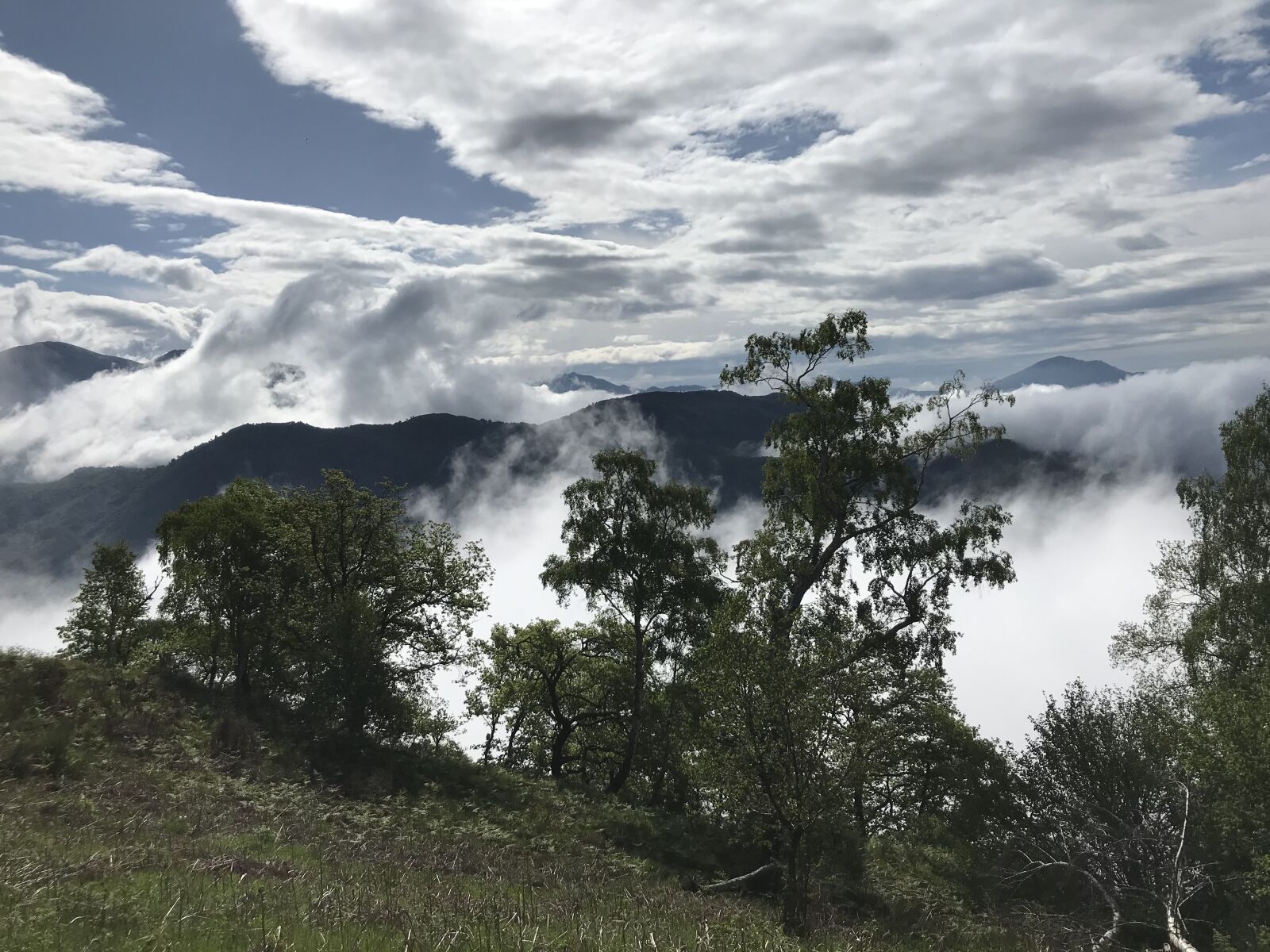 Apple iPhone 7 sample photo. To camusio, alpine route photography