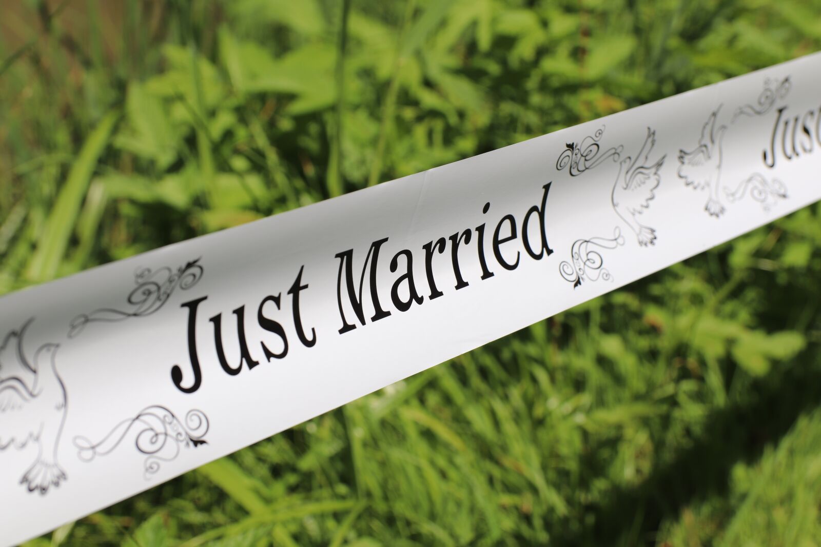Canon EOS 77D (EOS 9000D / EOS 770D) sample photo. Wedding, marriage, celebration photography