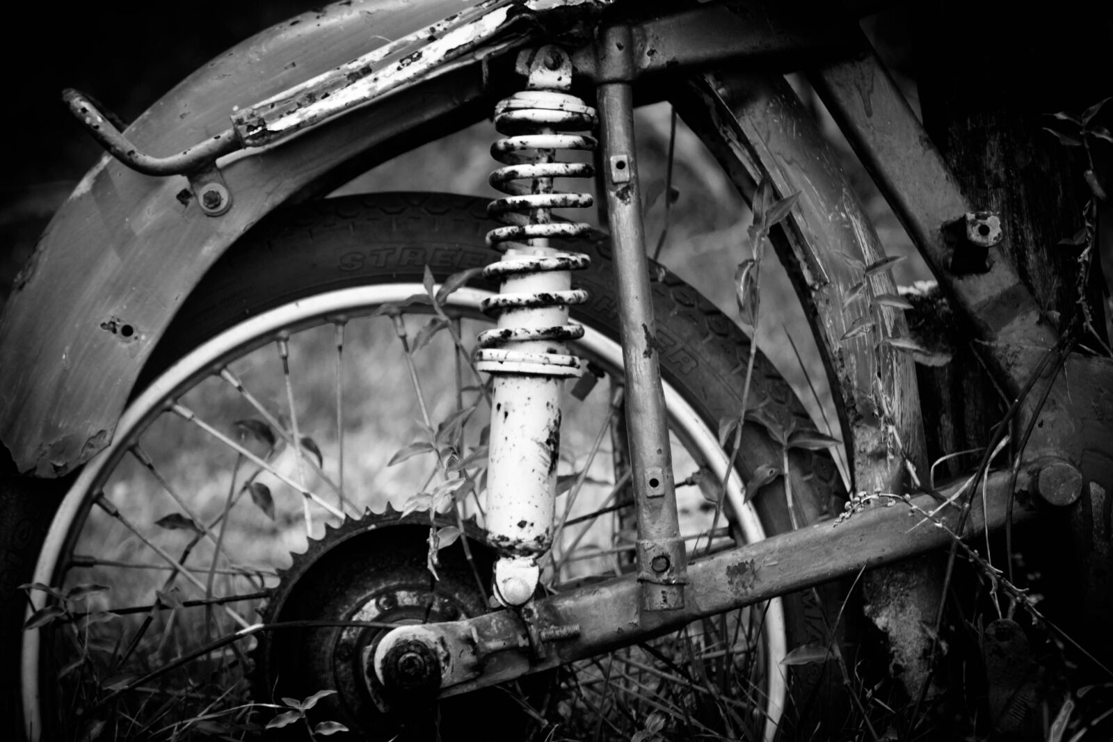 Nikon D3100 sample photo. Bike, old, nostalgia photography