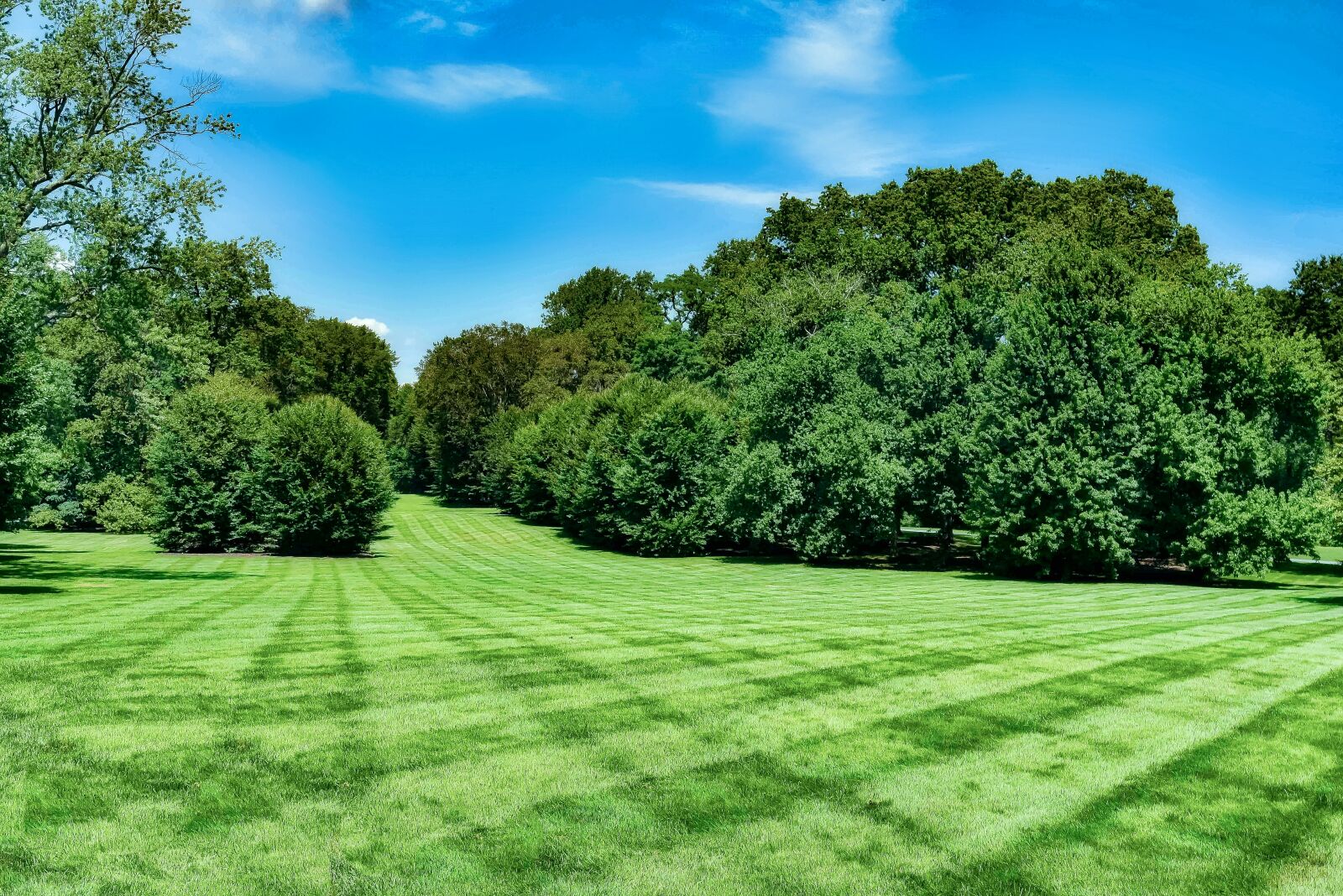 Nikon D750 sample photo. Nature, grass, landscape photography