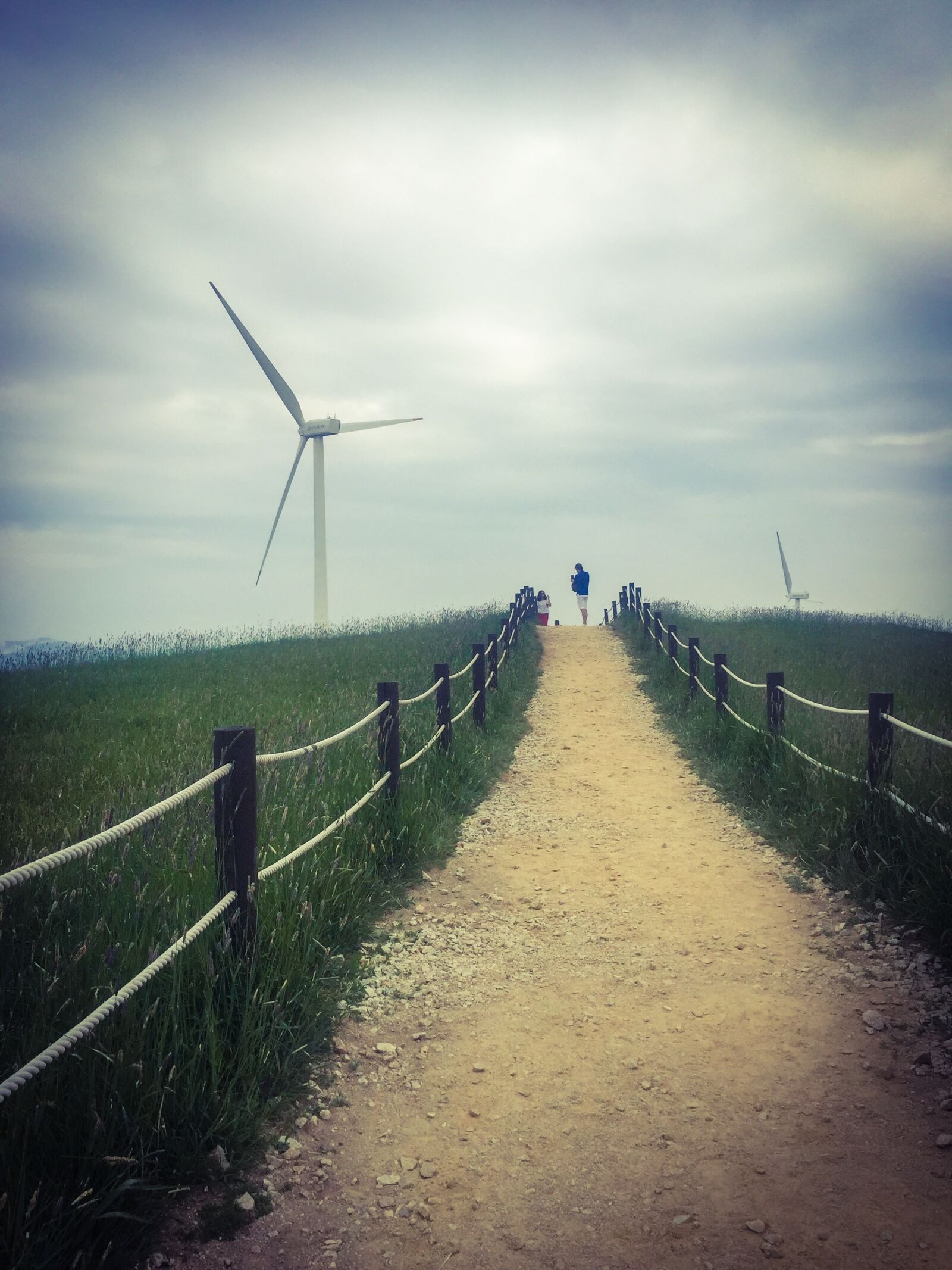 iPhone 6 Plus back camera 4.15mm f/2.2 sample photo. Nature, dating, windmill photography
