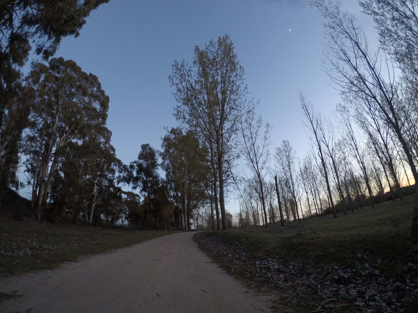 GoPro Hero5 Black sample photo. Nature, spring photography