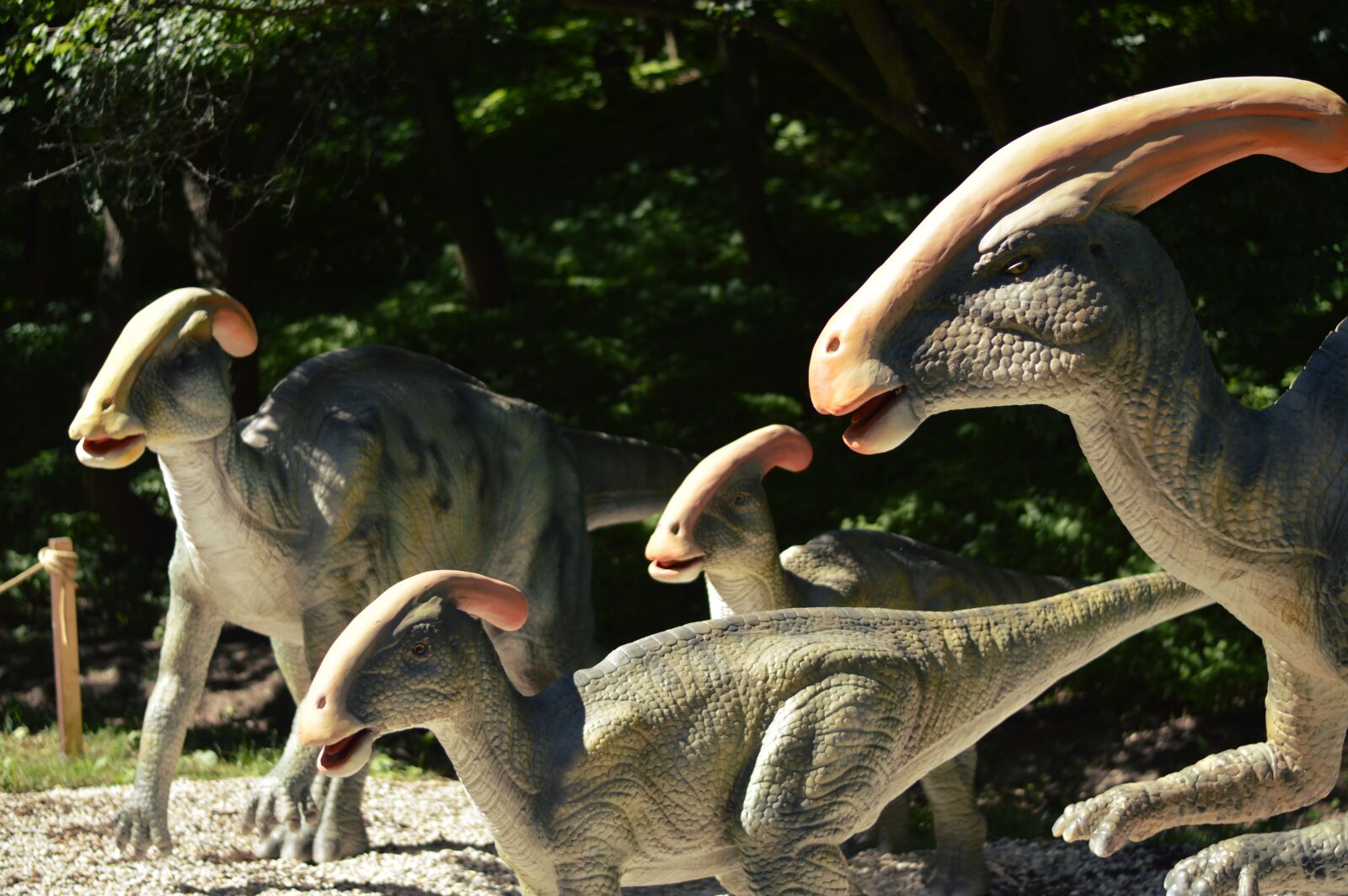 Nikon D3200 sample photo. Dinosaur, dino, dinopark photography