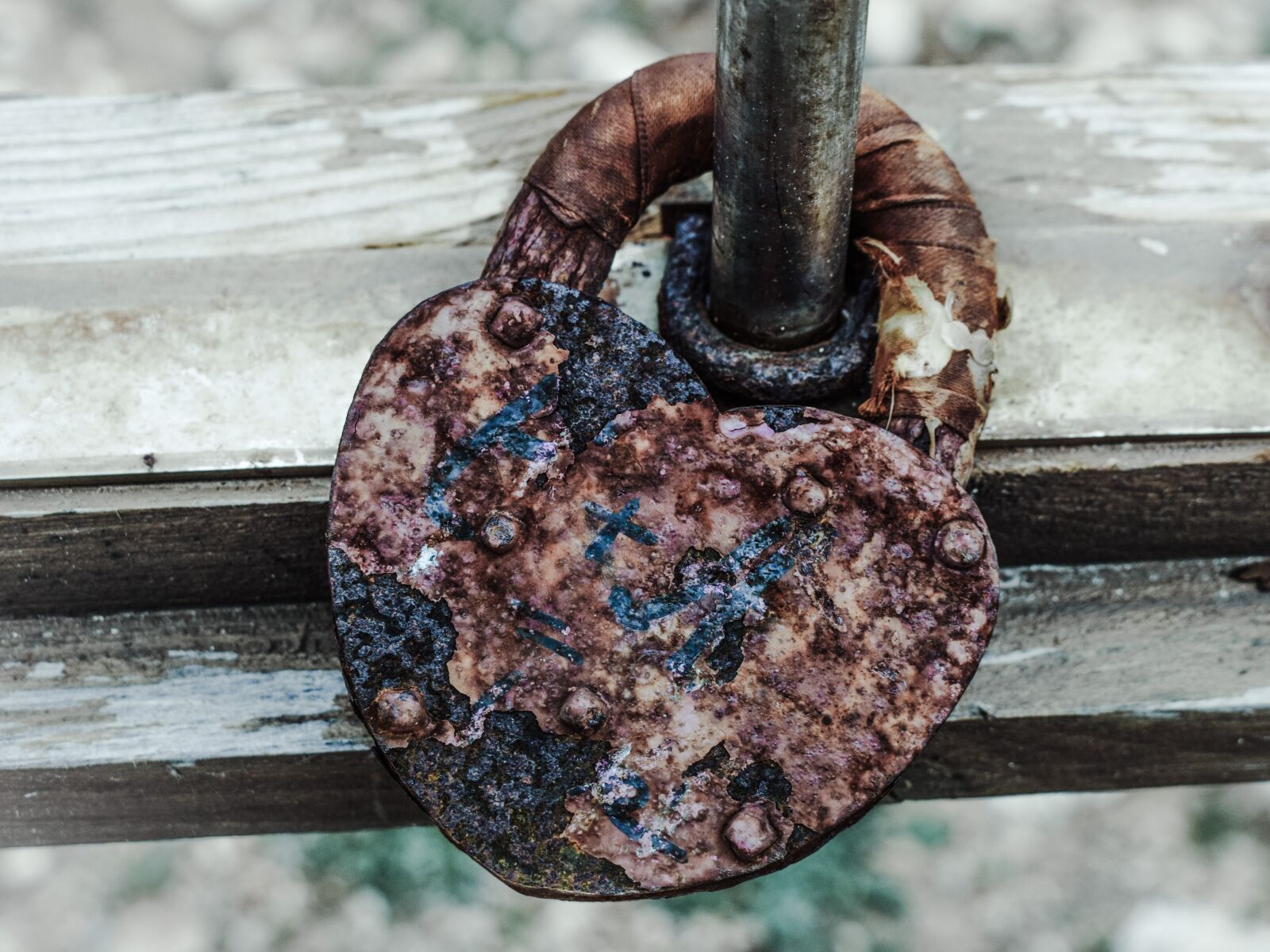 Nikon D3300 sample photo. Love, rusty, heart photography