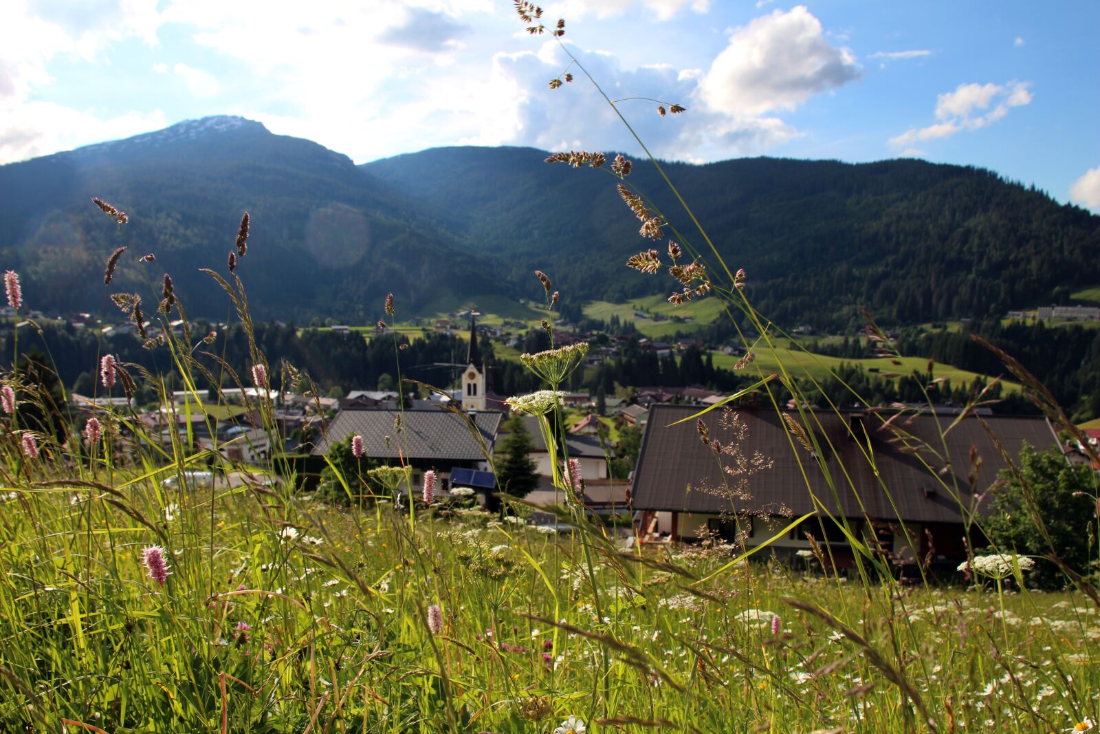 Canon EOS 650D (EOS Rebel T4i / EOS Kiss X6i) sample photo. Kleinwalsertal, summer, nature photography