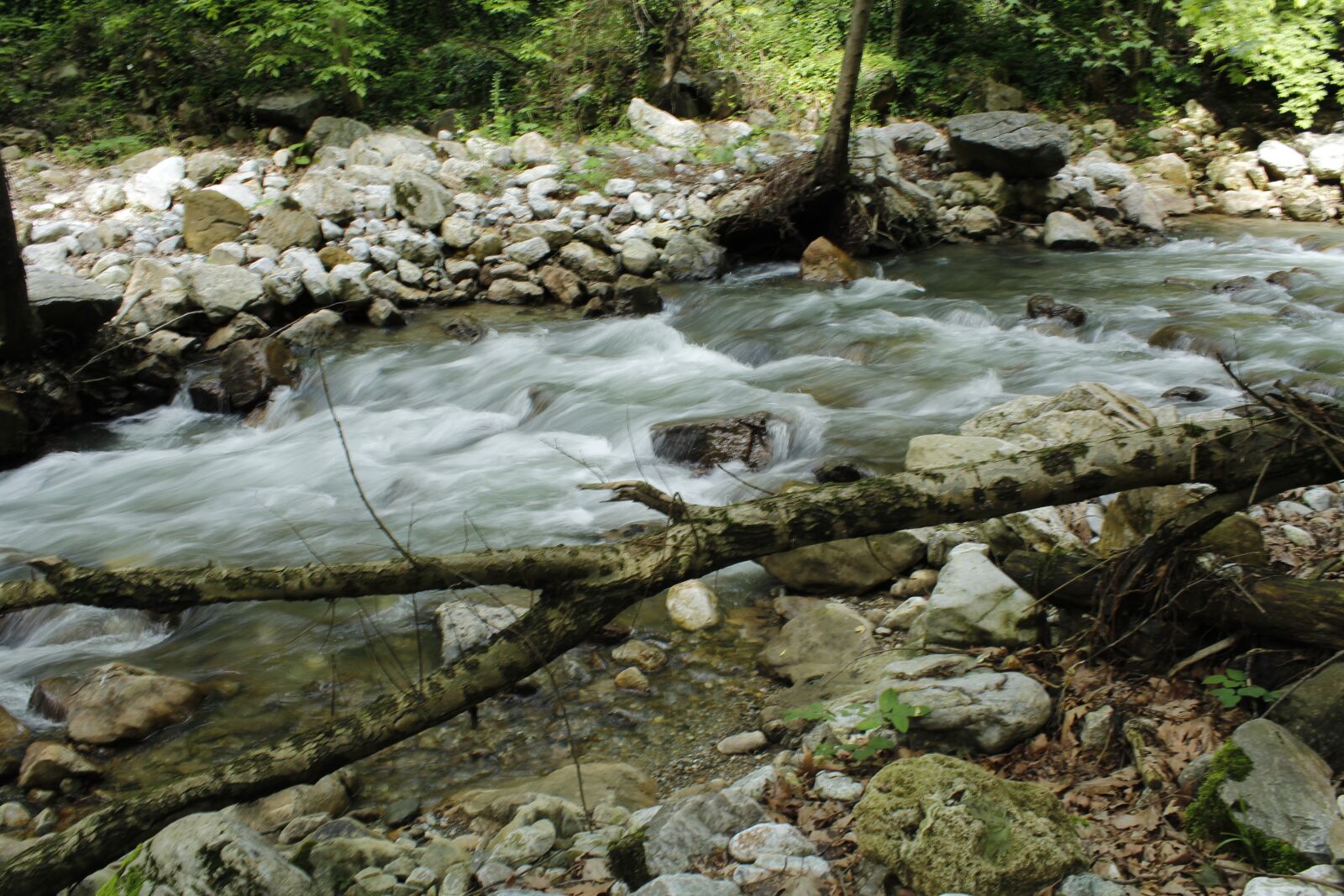 Canon EOS 1200D (EOS Rebel T5 / EOS Kiss X70 / EOS Hi) sample photo. Water, tree, nature photography