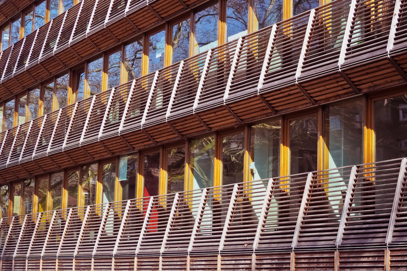 Olympus OM-D E-M10 sample photo. Pattern, wood, architecture photography