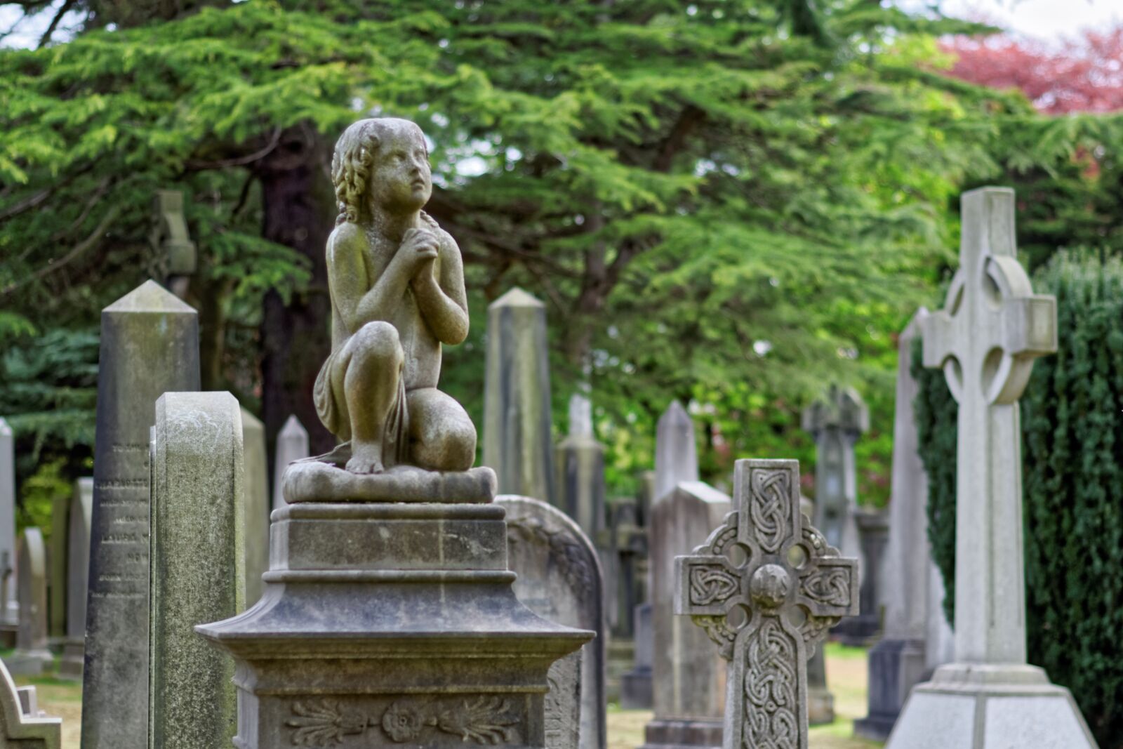 Nikon D90 sample photo. Dean's, garden, cemetery photography