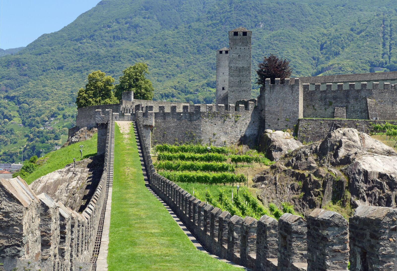 Panasonic Lumix DMC-FZ1000 sample photo. Bellinzano, fortress, wall ring photography