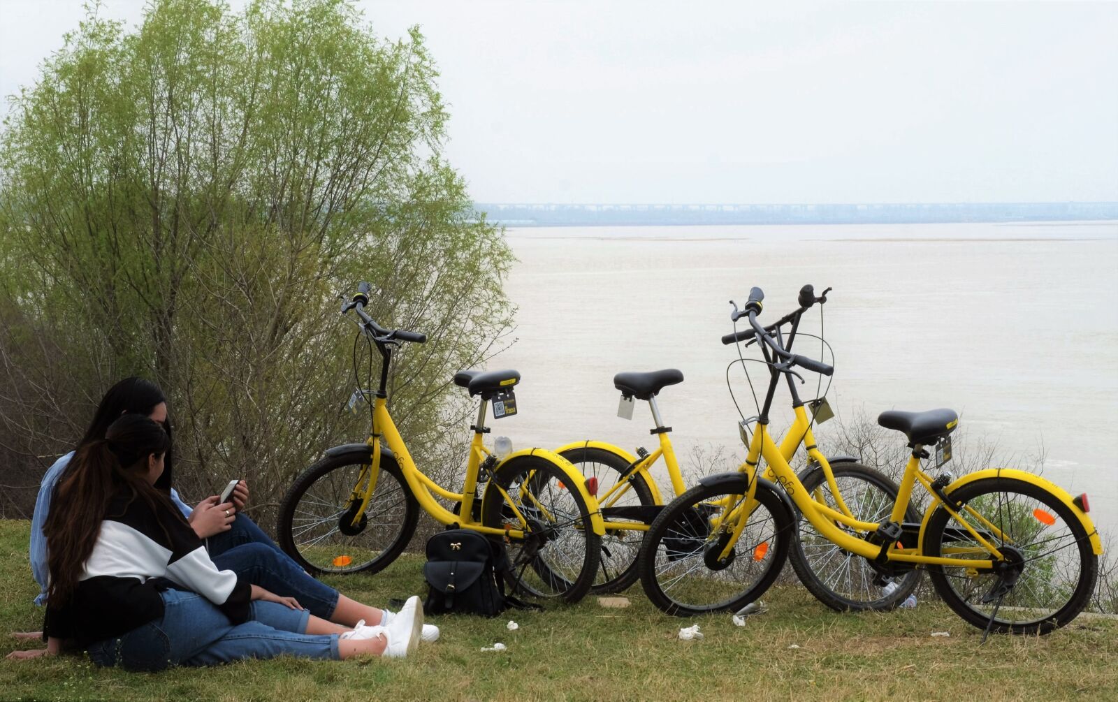 Nikon D7000 sample photo. Shared, spring, the yellow photography
