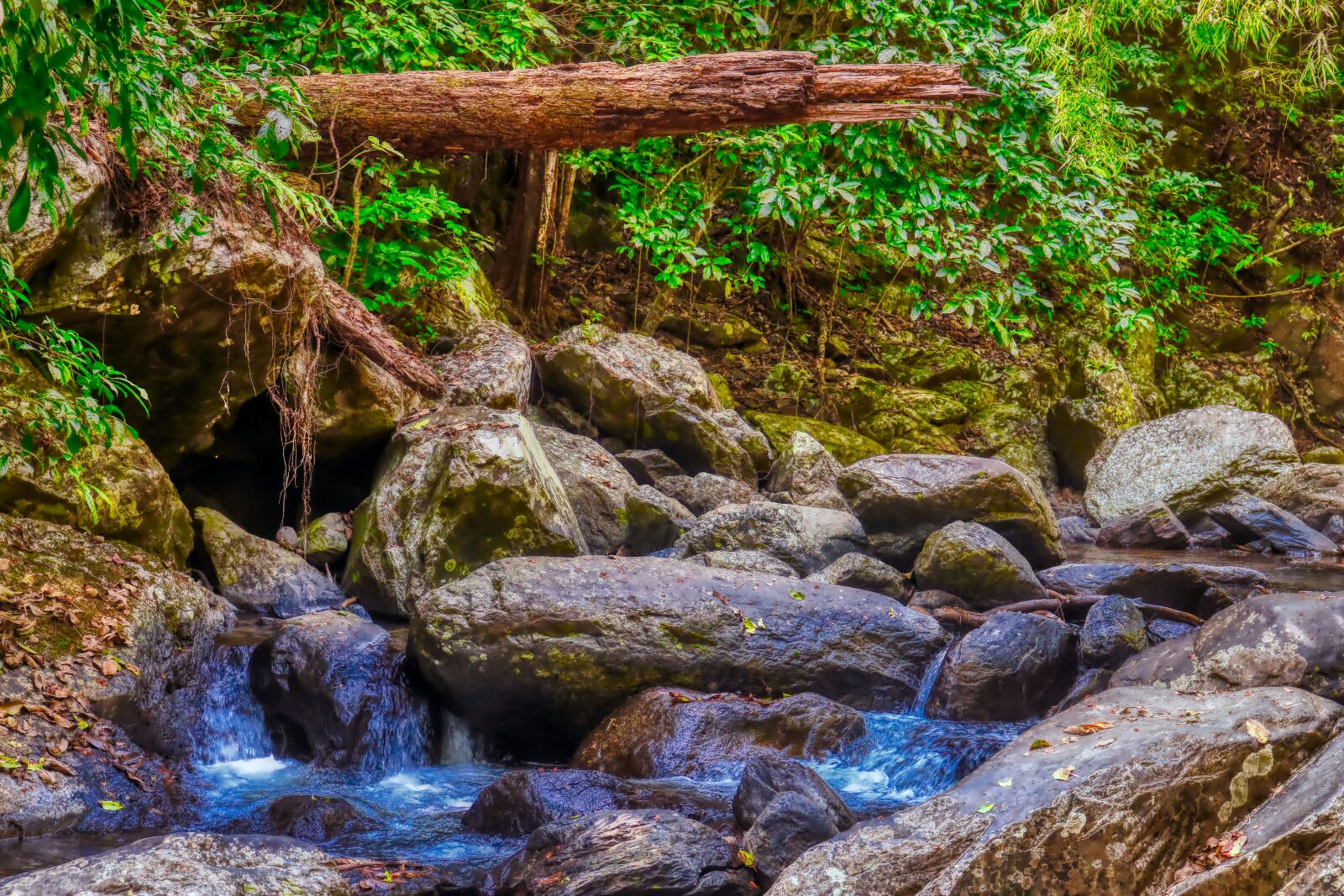 Canon EOS 750D (EOS Rebel T6i / EOS Kiss X8i) sample photo. Tropical, outdoor, water photography