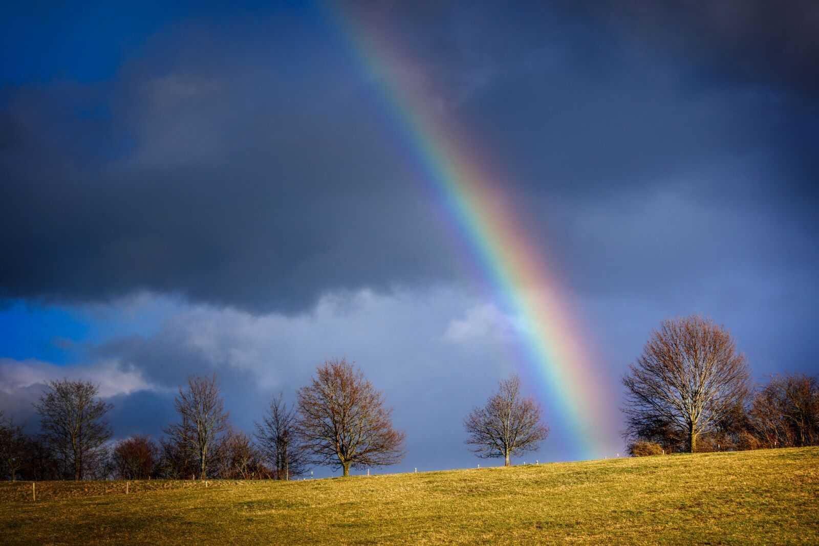 Panasonic Lumix DMC-GX8 sample photo. Rainbow, evening light, nature photography
