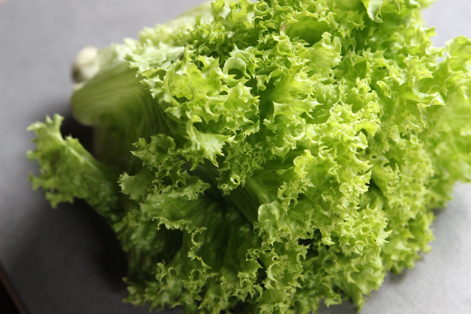 Canon EOS 600D (Rebel EOS T3i / EOS Kiss X5) sample photo. Friseesalat, salad, bio photography