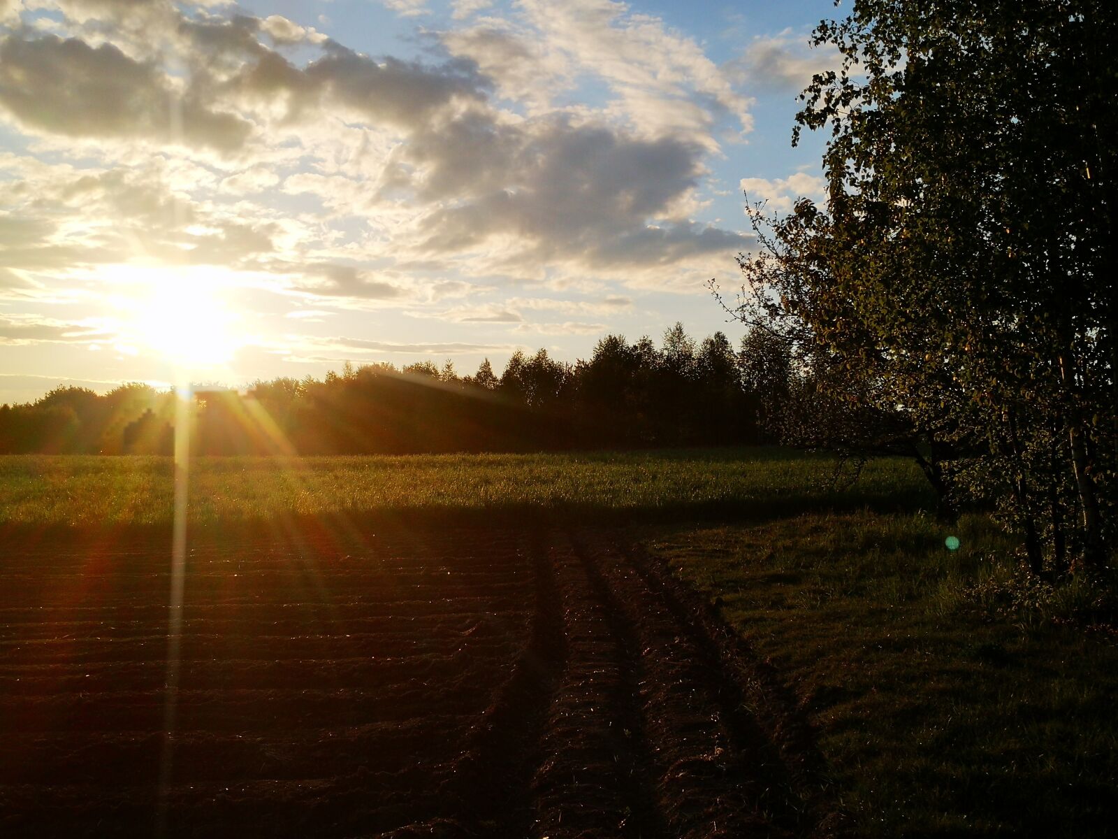 HUAWEI P20 sample photo. Sunset, fields, spring photography
