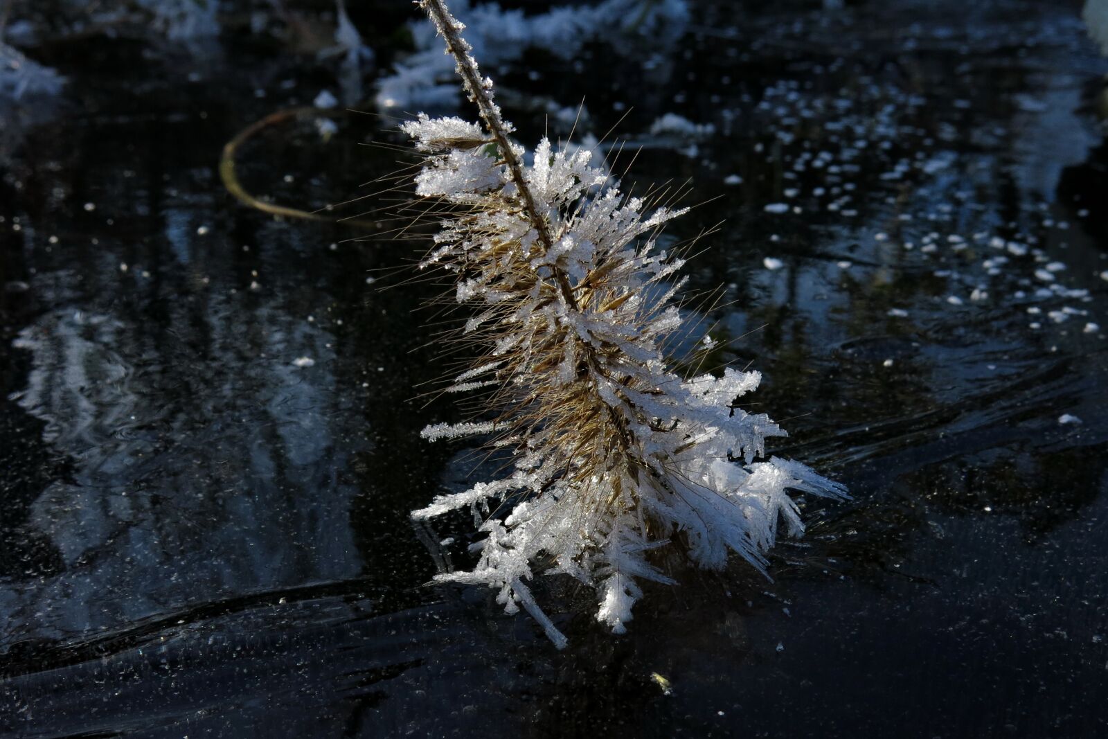 Canon PowerShot G15 sample photo. Frozen, lamp cleaning er photography