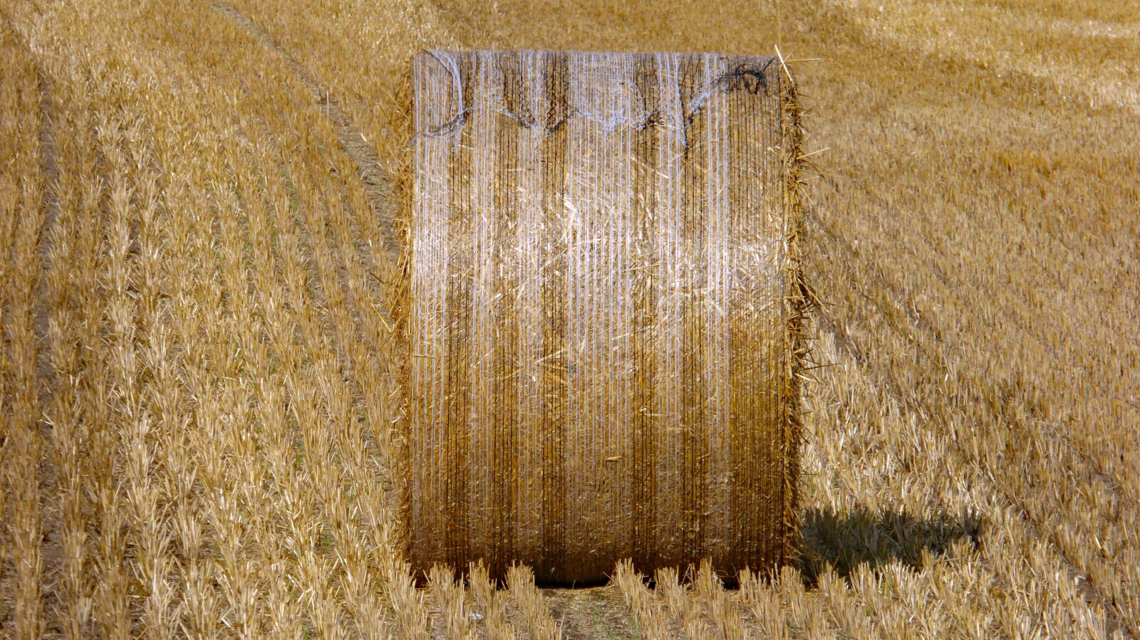 Panasonic DMC-TZ61 sample photo. Harvest, hay, agriculture photography