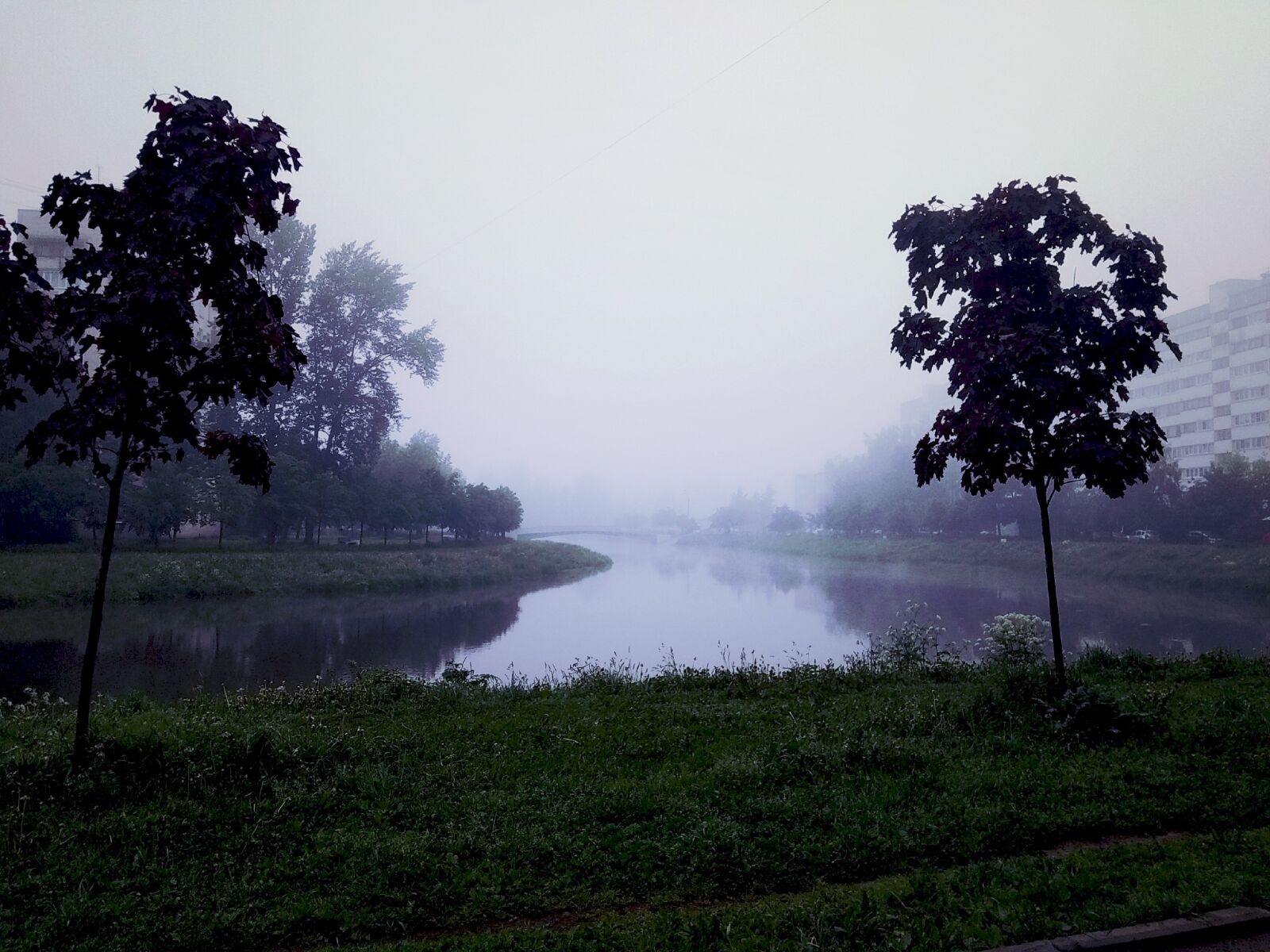 Xiaomi Redmi Note 5A sample photo. Morning, fog, blue photography