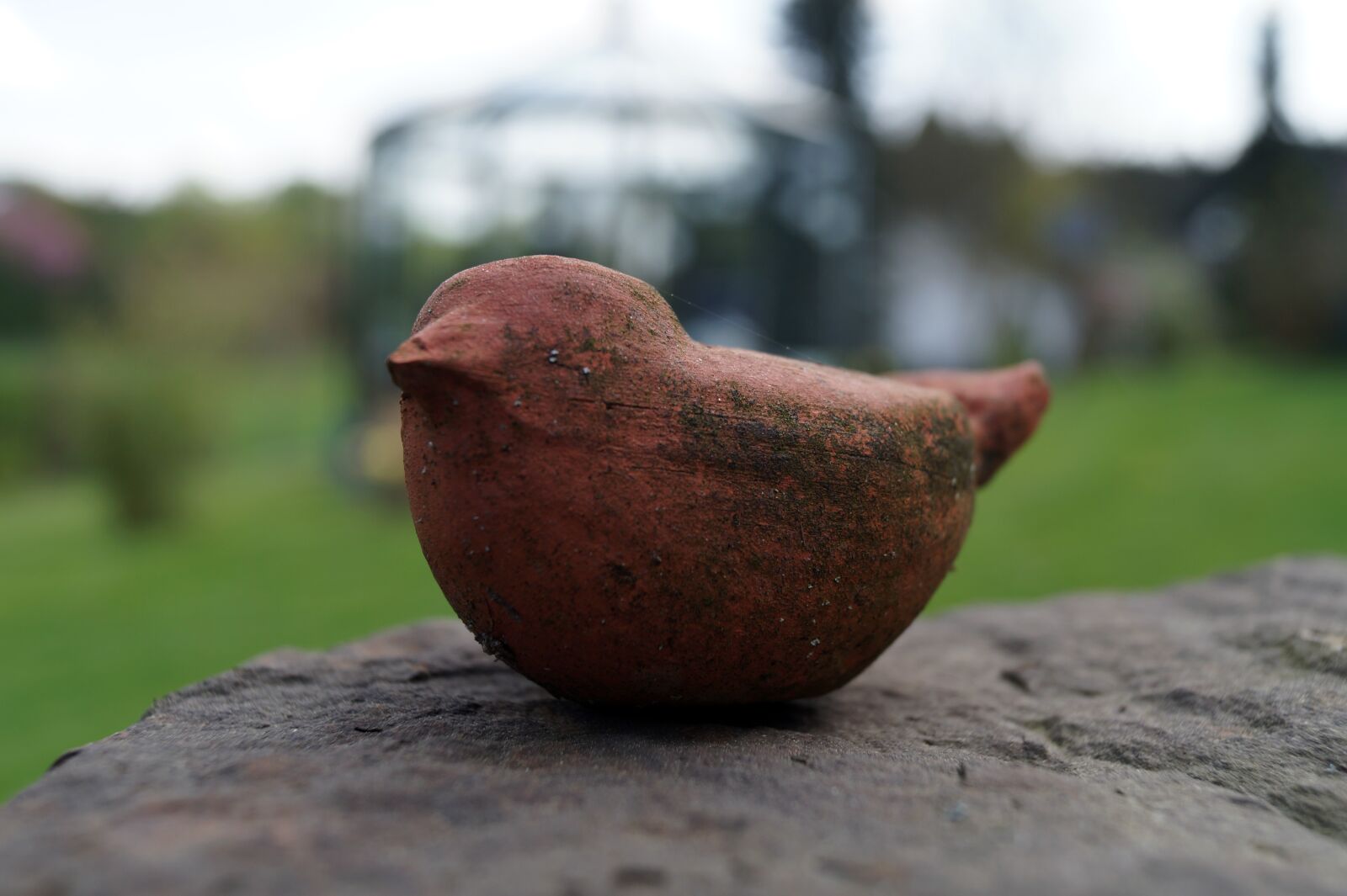 Sony DT 18-55mm F3.5-5.6 SAM II sample photo. Nature, bird, statue photography