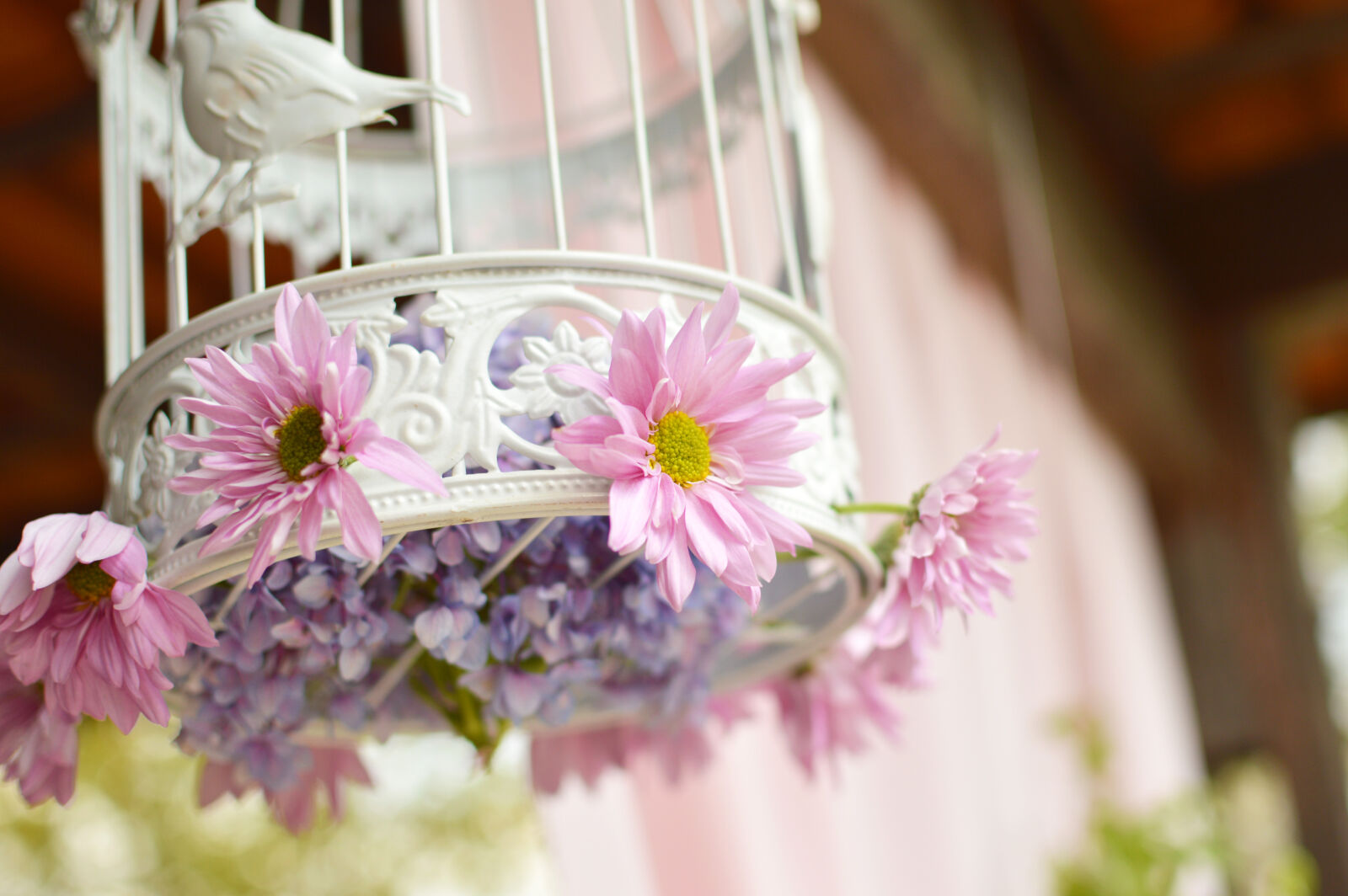 Nikon D3200 + Nikon AF-S DX Nikkor 35mm F1.8G sample photo. Flowers, birdcage, decoration photography