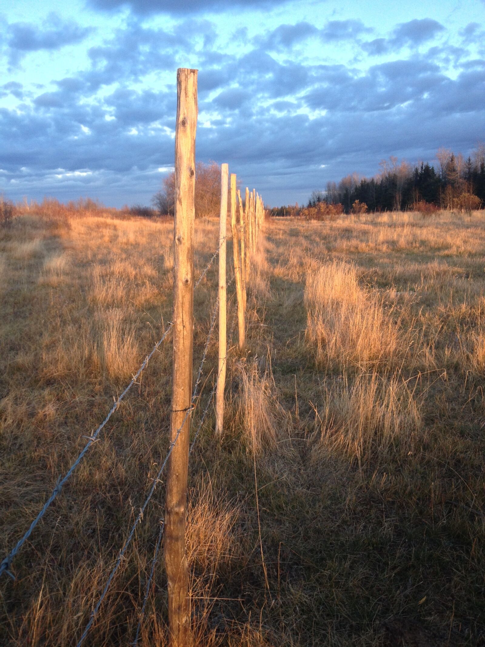 Apple iPhone 4S sample photo. Fence, rural, dusk photography