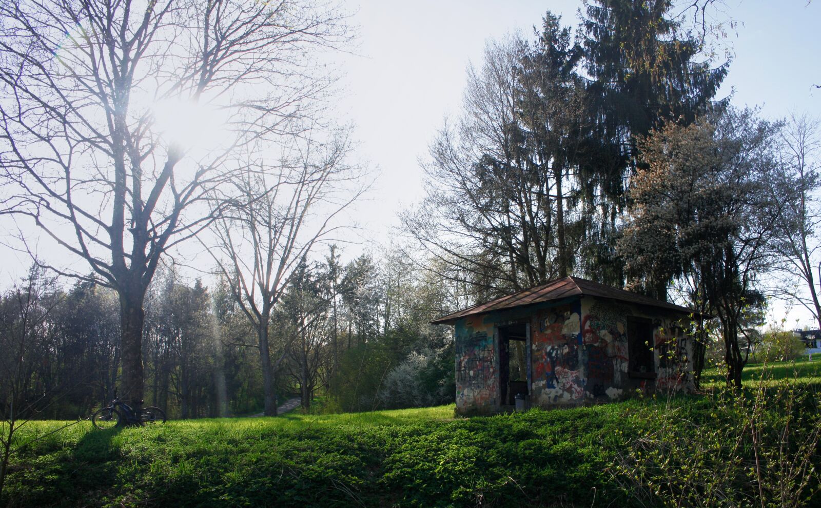 Canon EOS 450D (EOS Rebel XSi / EOS Kiss X2) sample photo. Hut, grafitti, trees photography