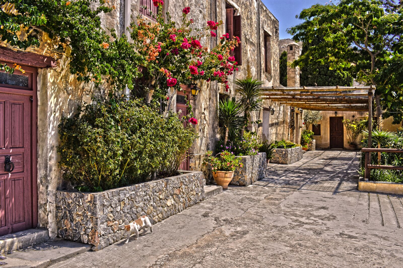 Nikon D3400 sample photo. Greece, crete, preveli photography