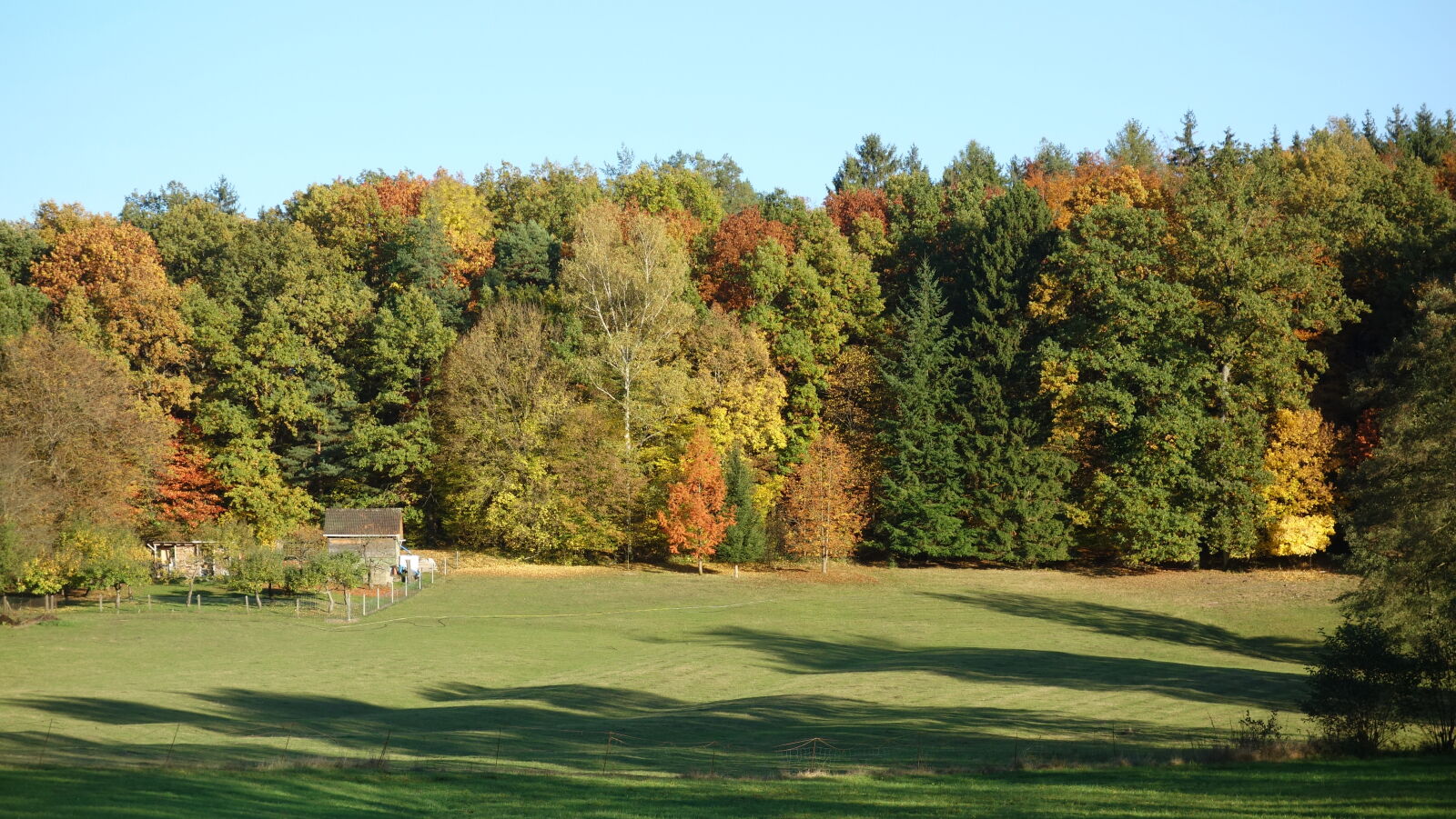 Sony Cyber-shot DSC-RX100 sample photo. Autumn, colours, autumn, mood photography