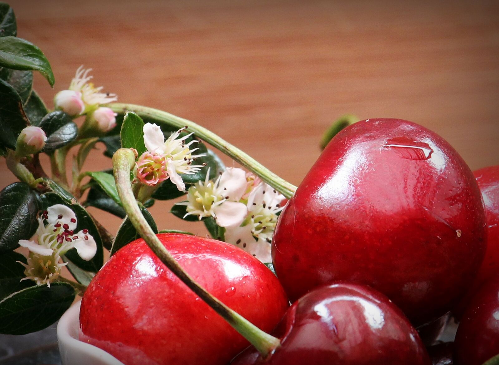 Canon EOS 550D (EOS Rebel T2i / EOS Kiss X4) sample photo. Cherries, fruits, fruit photography