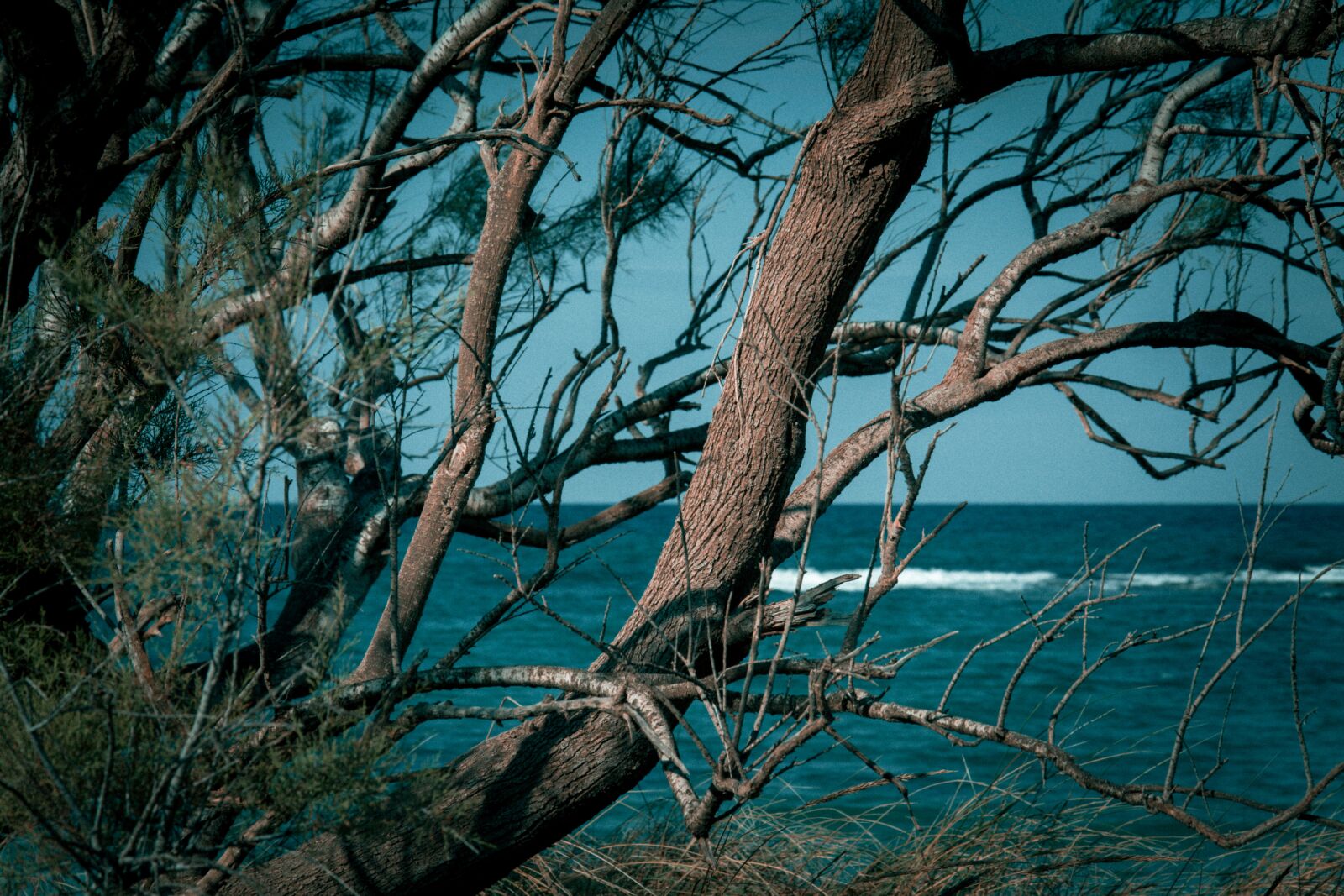 Nikon D5200 sample photo. Sea, autumn, puglia photography