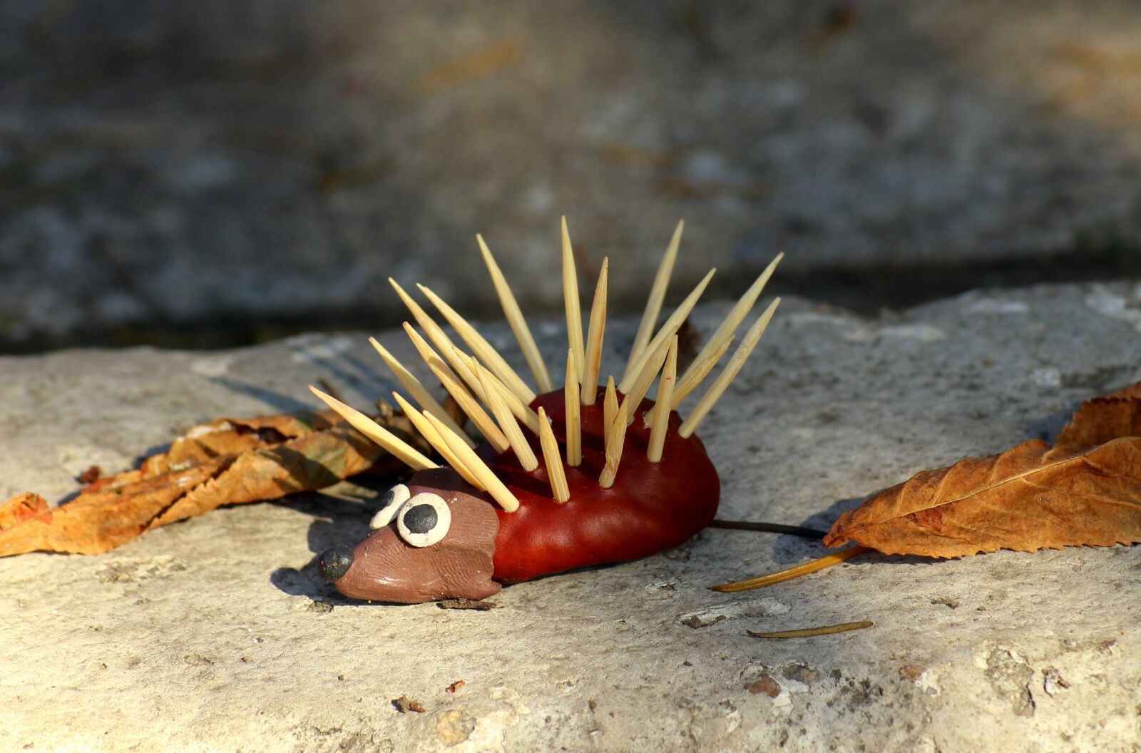 Canon EOS 1200D (EOS Rebel T5 / EOS Kiss X70 / EOS Hi) sample photo. Autumn, hedgehog, decoration photography