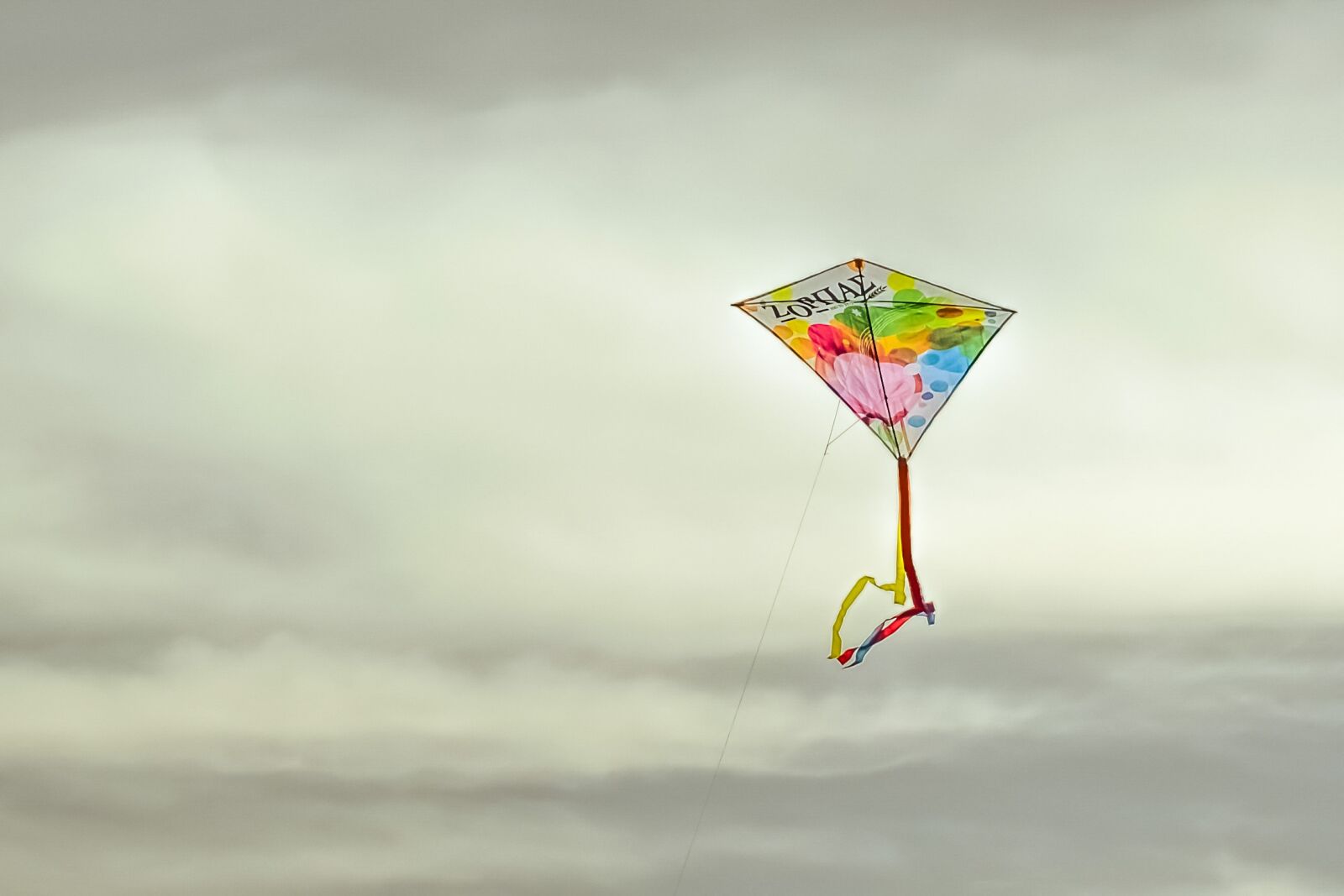 Nikon D3300 sample photo. Kite, colorful, flying photography