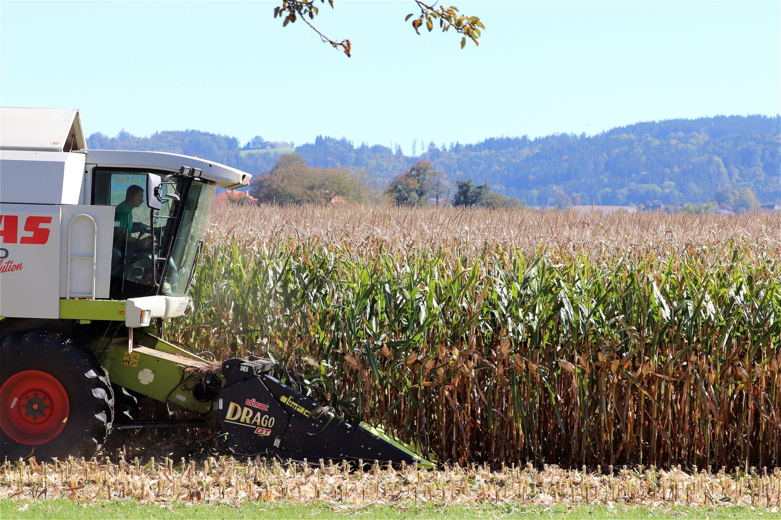 Canon EF 70-300 F4-5.6 IS II USM sample photo. Corn harvest, combine harvester photography