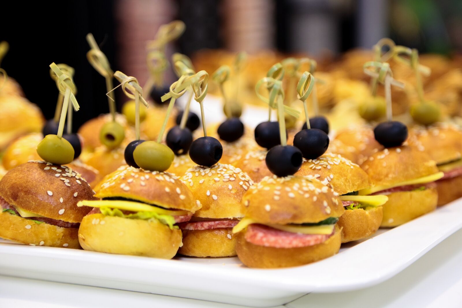 Canon EOS 5D Mark III sample photo. A sandwich, burger, fast photography