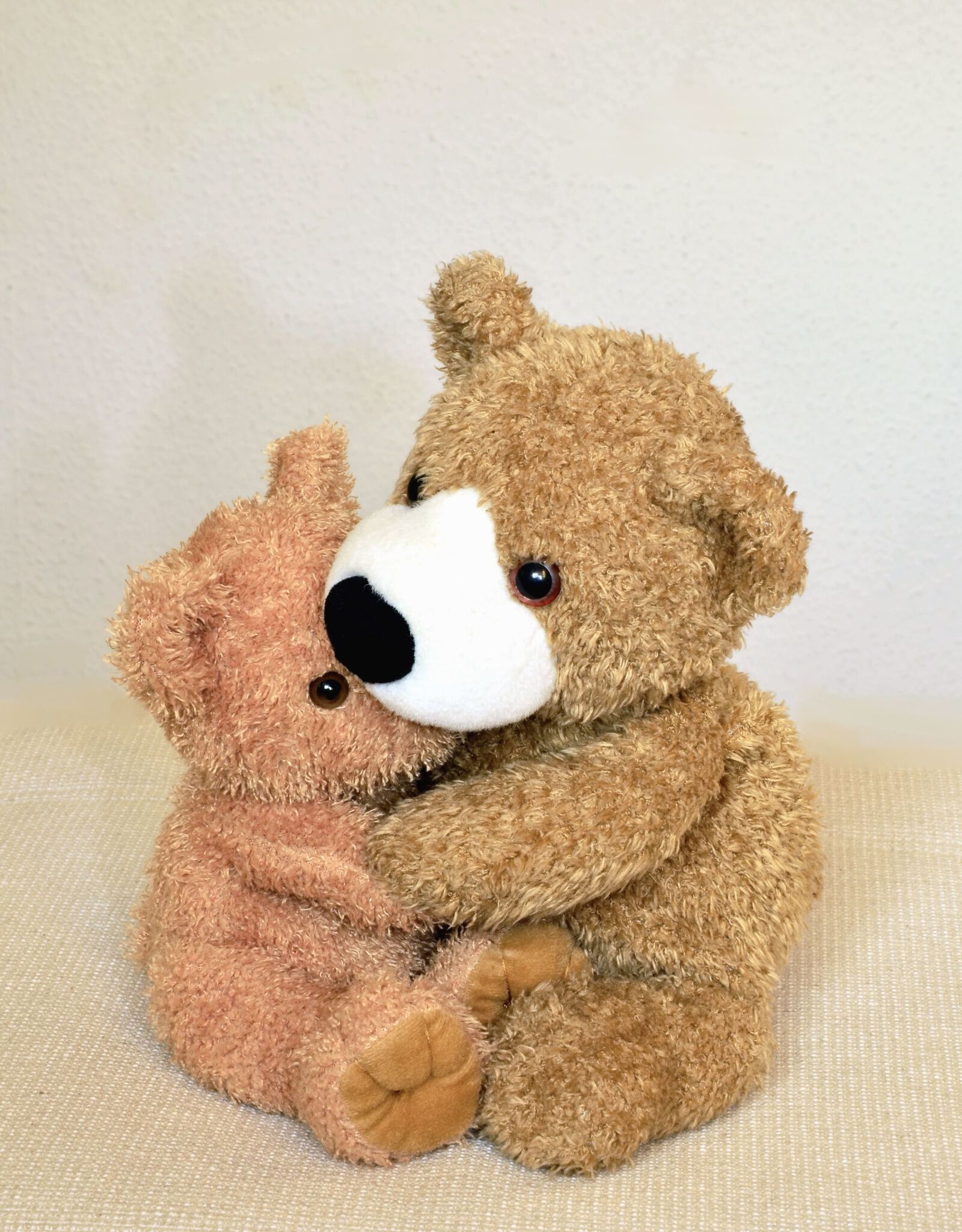 Nikon D5100 sample photo. Hug, teddy bear, toy photography