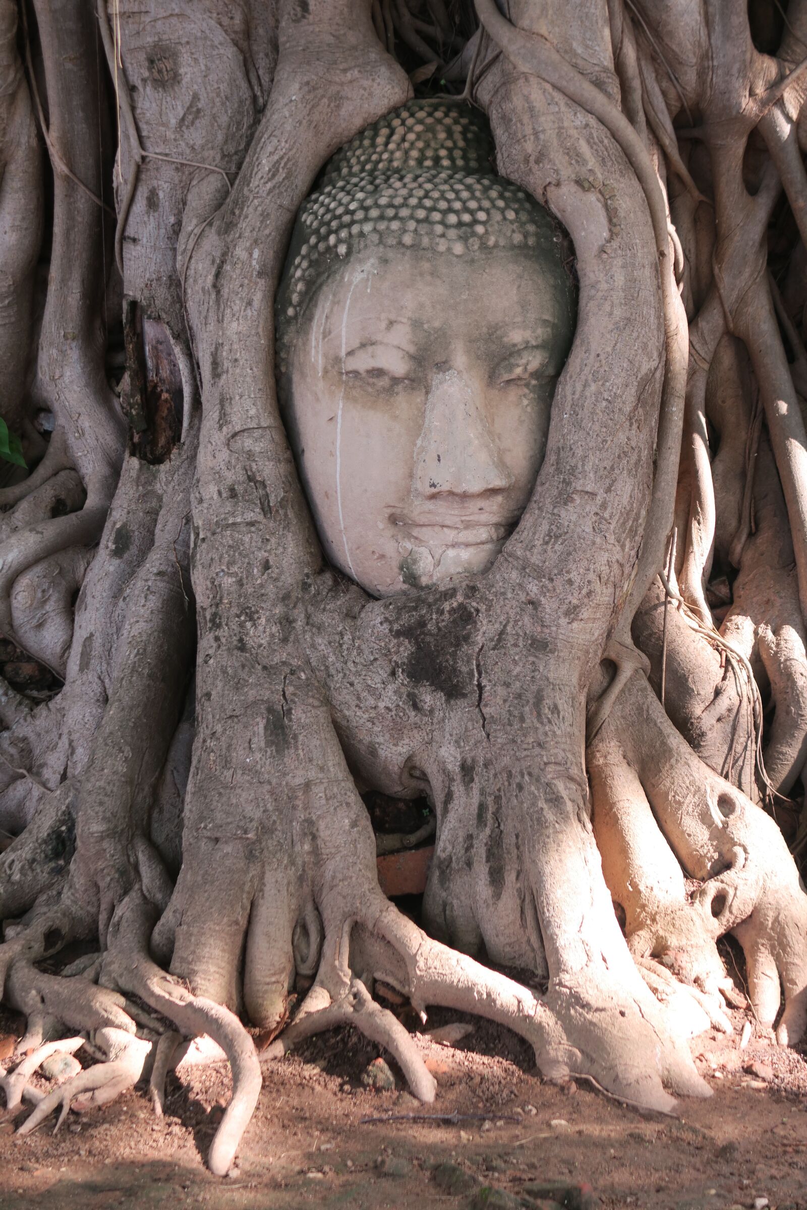 Canon PowerShot G7 X sample photo. Ayutthaya, thailand, buddha photography