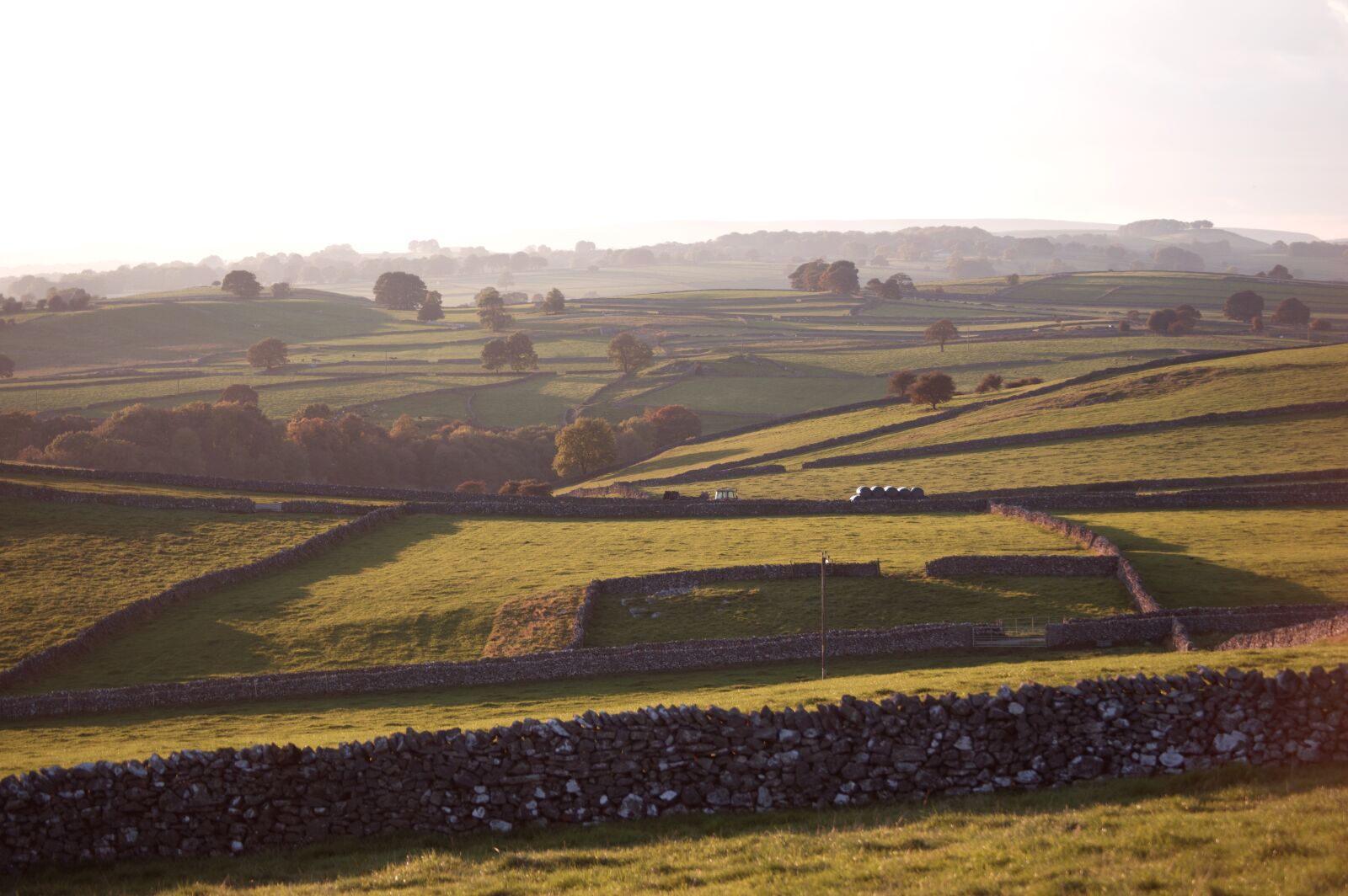 Nikon D3200 sample photo. Agriculture, landscape, farm photography