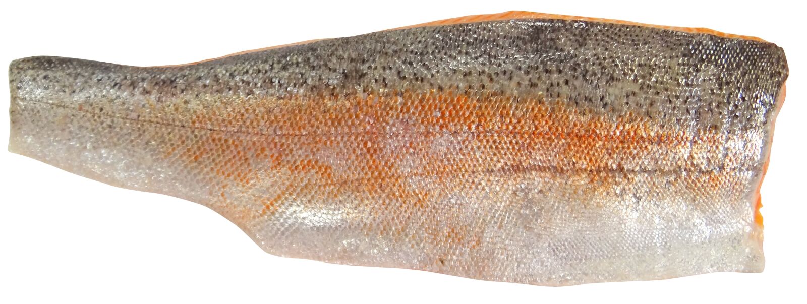 Sony Cyber-shot DSC-HX100V sample photo. Seafood, trout, sea trout photography