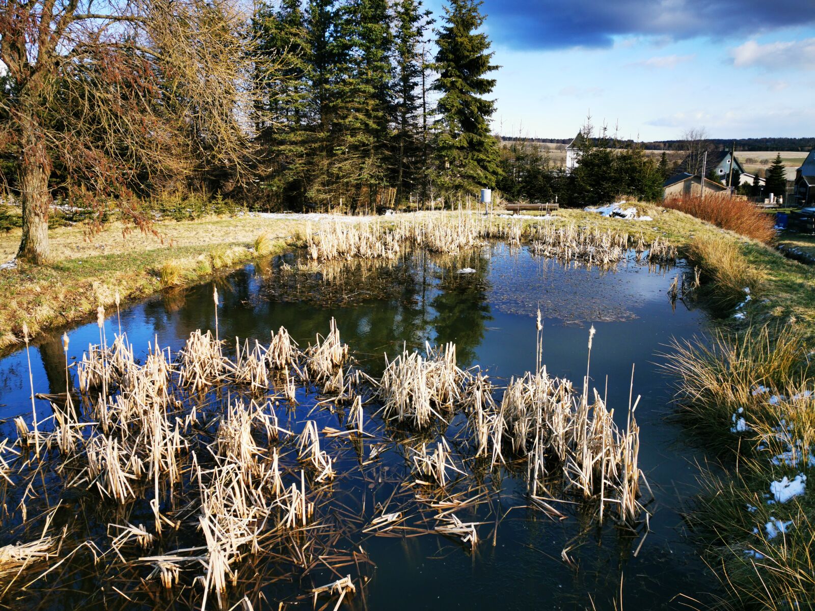 HUAWEI P30 Pro sample photo. Pond, reed, deutscheinsiedel photography
