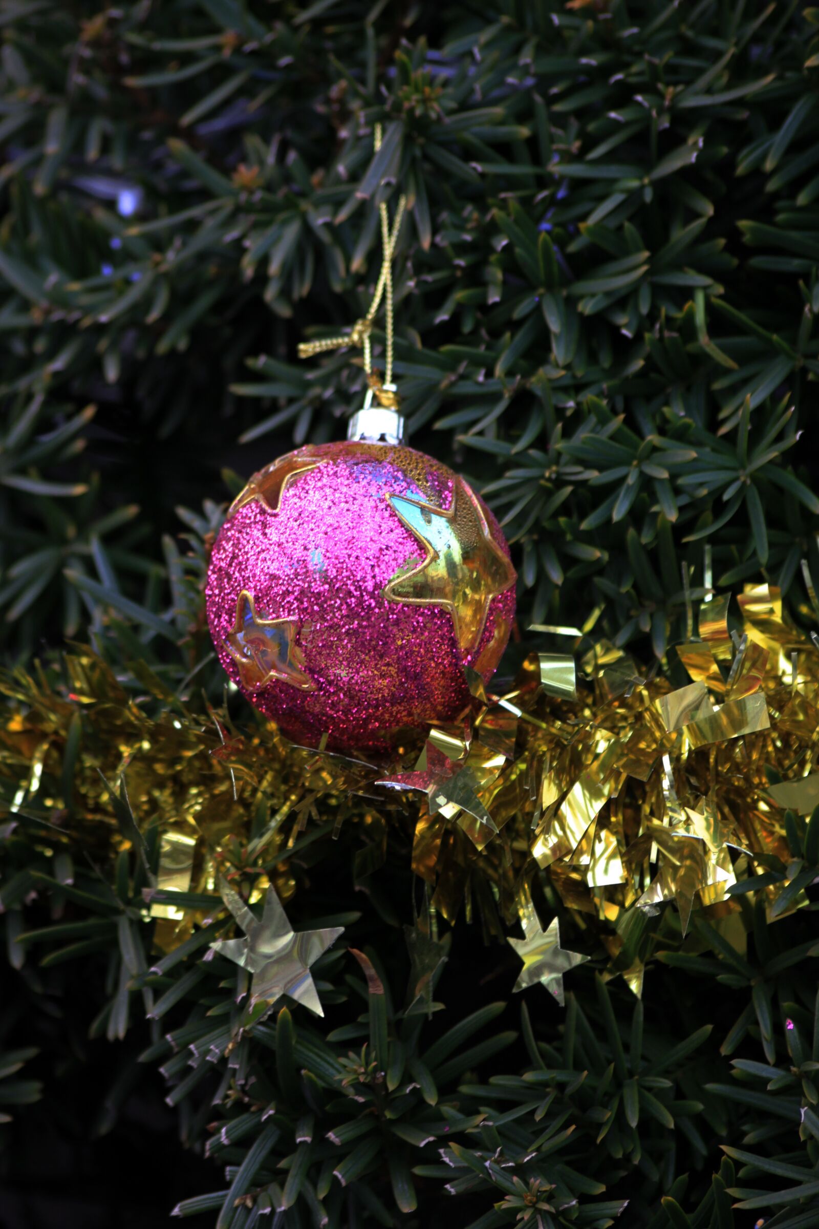 Canon EOS 50D sample photo. Christmas, tree, ornament photography