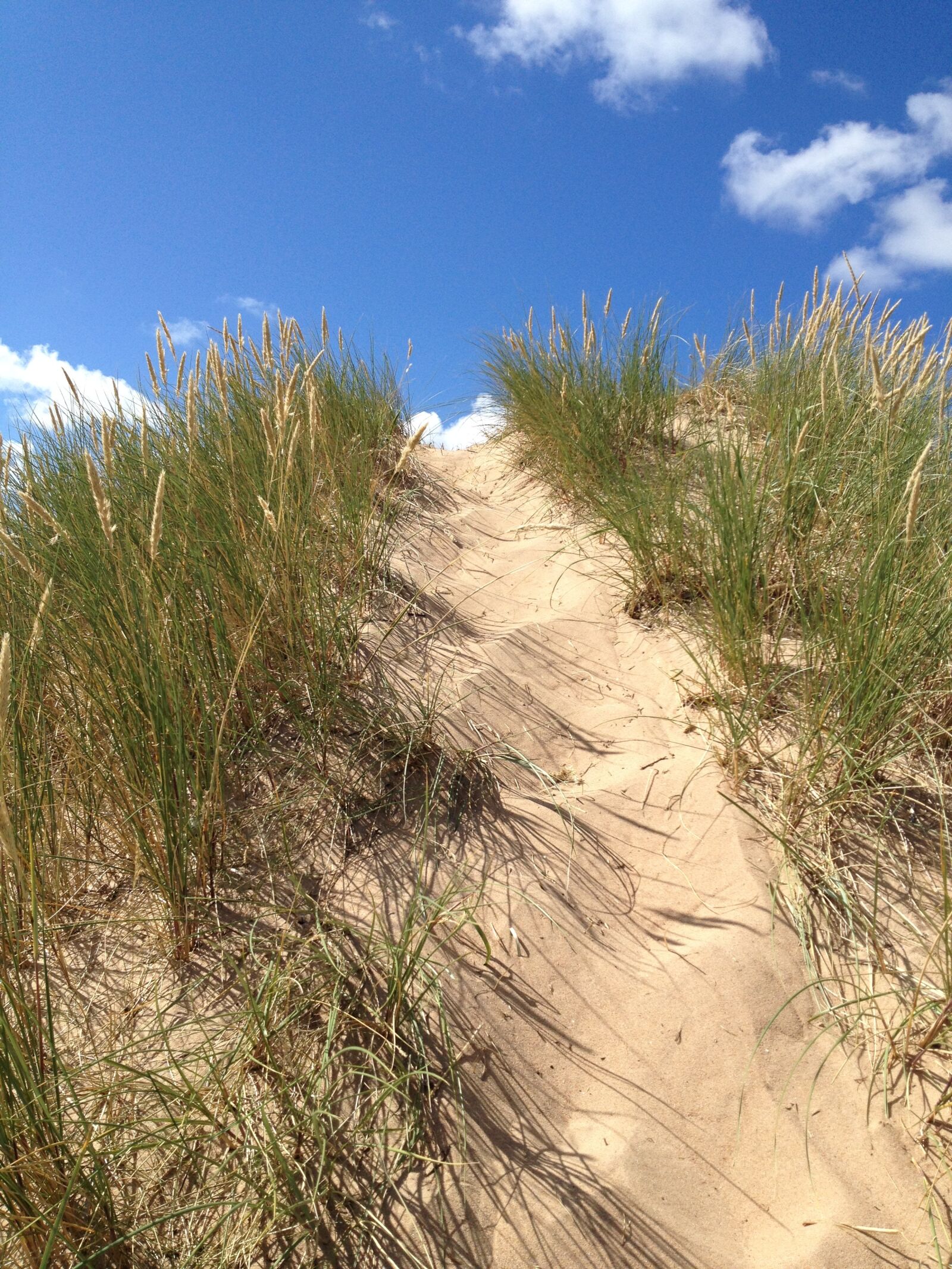iPhone 4S back camera 4.28mm f/2.4 sample photo. Dunes, grass, summer photography