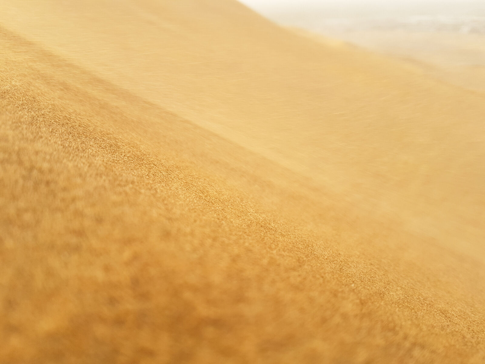 Samsung Galaxy S7 Edge Rear Camera sample photo. Dry, sand, dune, in photography