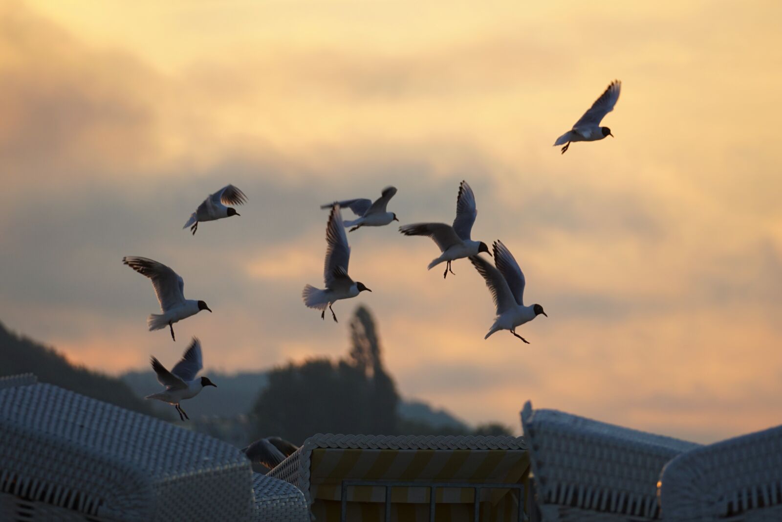 Sony a6000 + Sony E 70-350mm F4.5-6.3 G OSS sample photo. Gulls, beach chair, sunset photography