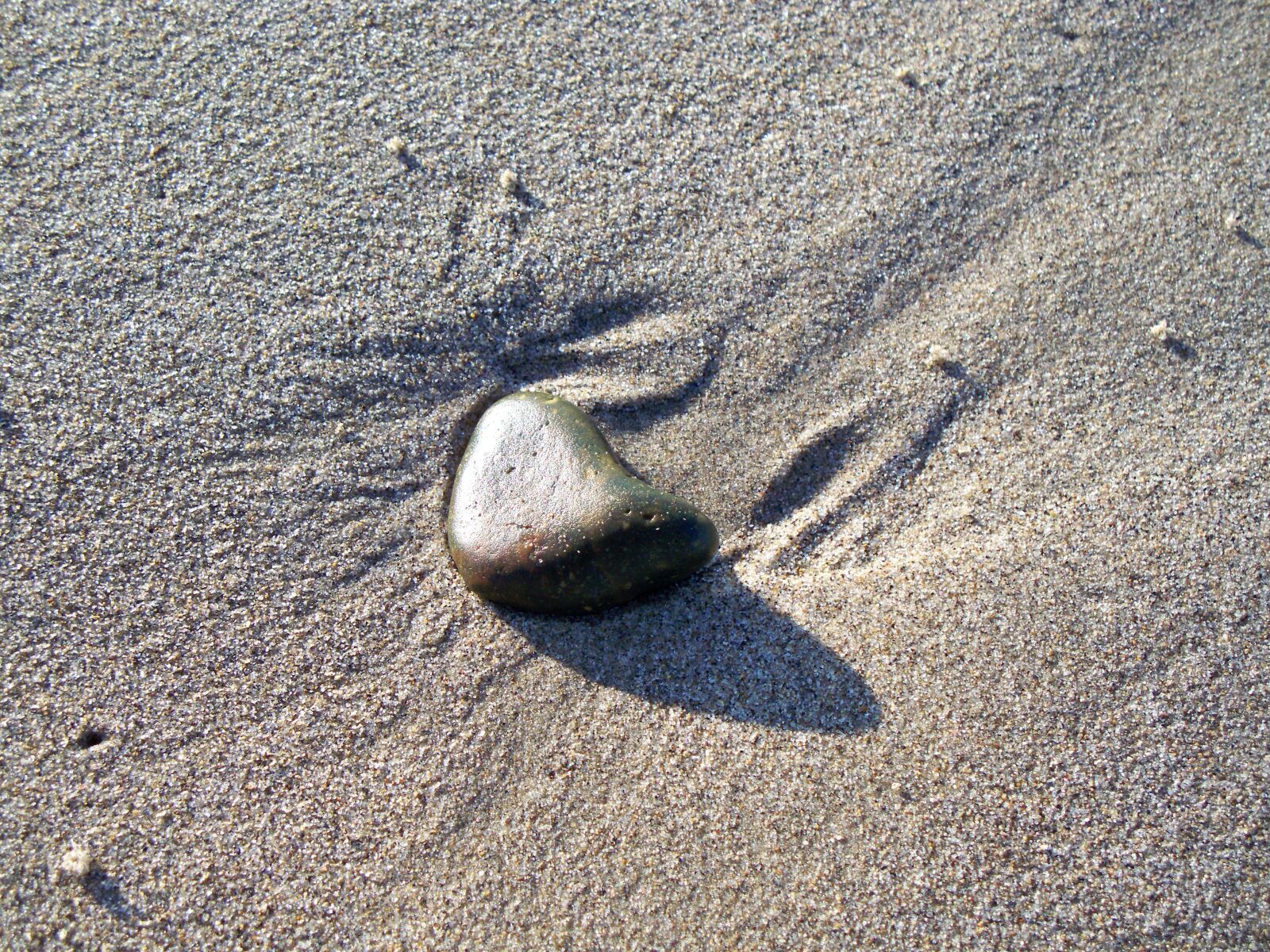 Kodak EASYSHARE Z1485 IS DIGITAL CAMERA sample photo. Sand, beach, nature photography