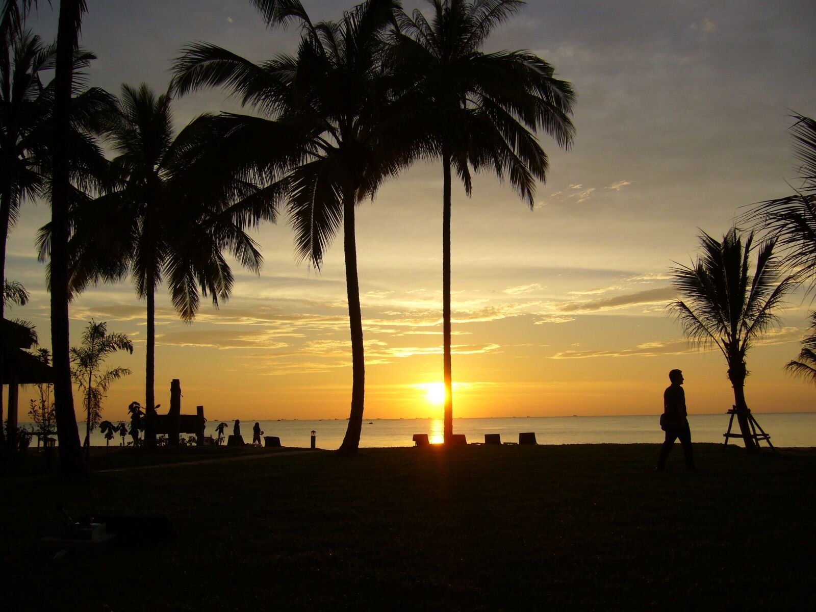 Panasonic DMC-FX9 sample photo. Sunset, beach, palm trees photography