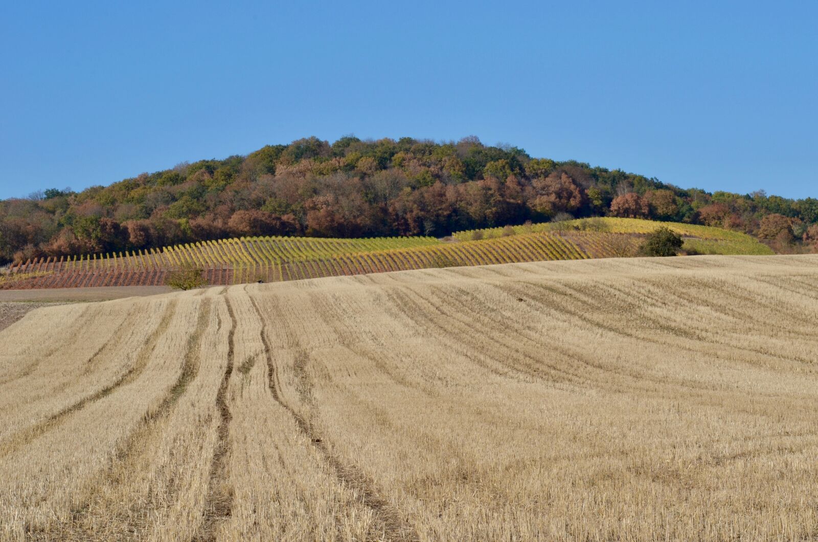 Nikon D5100 sample photo. Autumn, arable, field photography