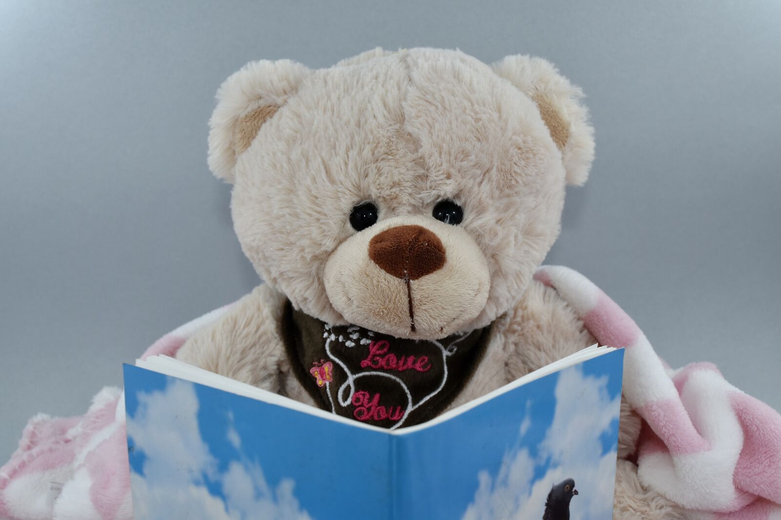 Nikon D5500 sample photo. Book, gift, reader, reading photography