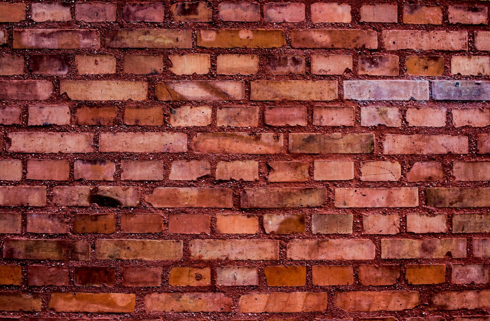 Canon EF-S 24mm F2.8 STM sample photo. Hauswand, wall, facade photography