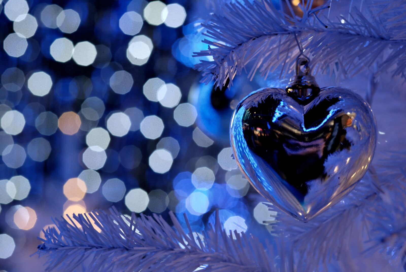 Nikon D60 sample photo. Christmas, holiday, christmas lights photography